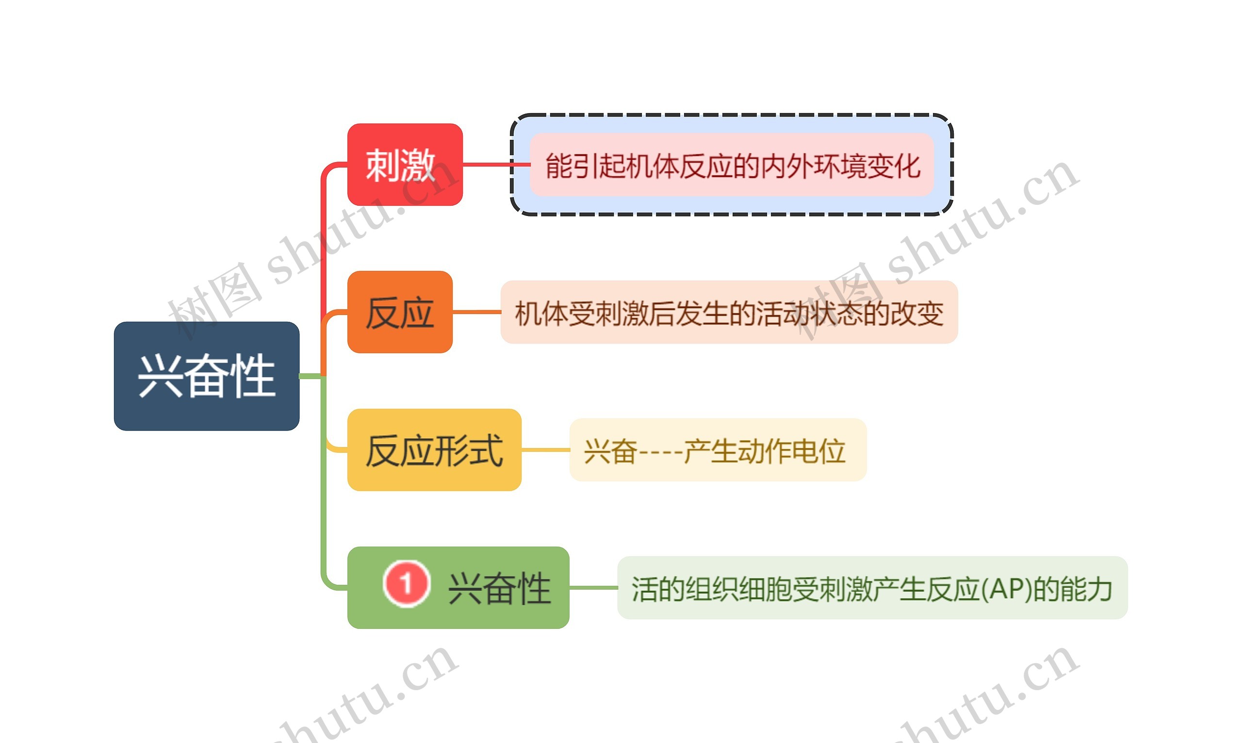 医学知识生理学兴奋性思维导图