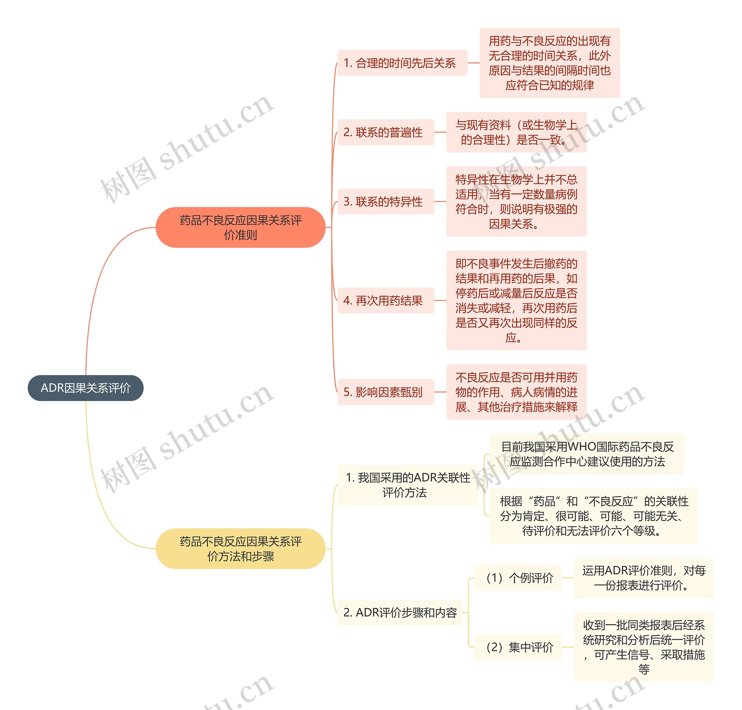 医学知识ADR因果关系评价思维导图