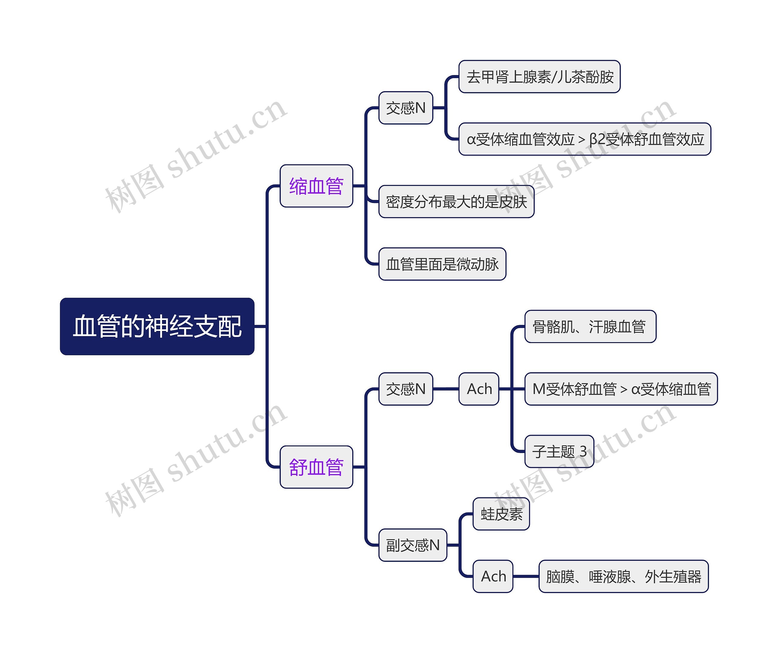 医学知识血管的神经支配思维导图