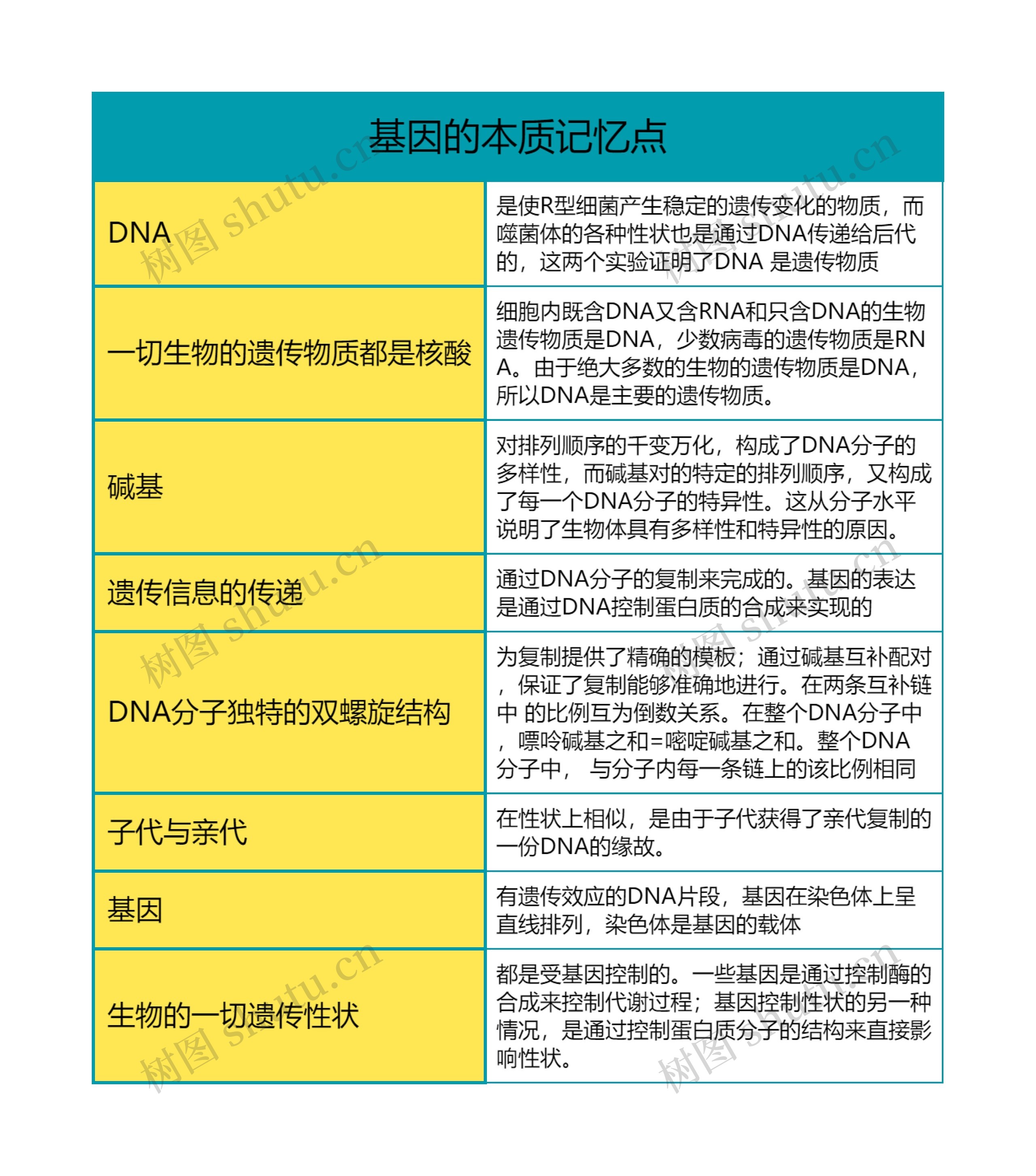 高中生物必修二基因的本质记忆点思维导图