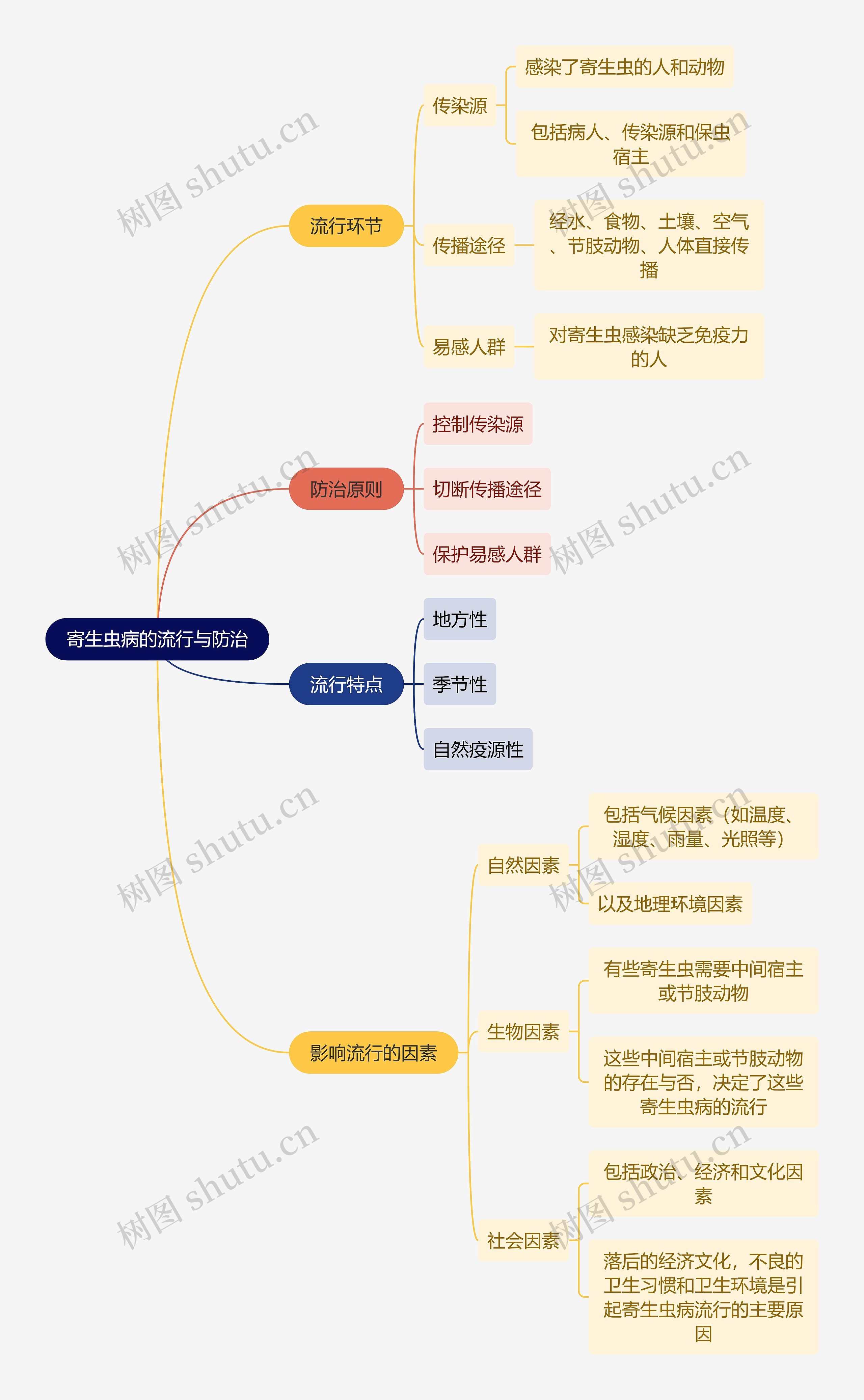 医学知识寄生虫病的流行与防治思维导图