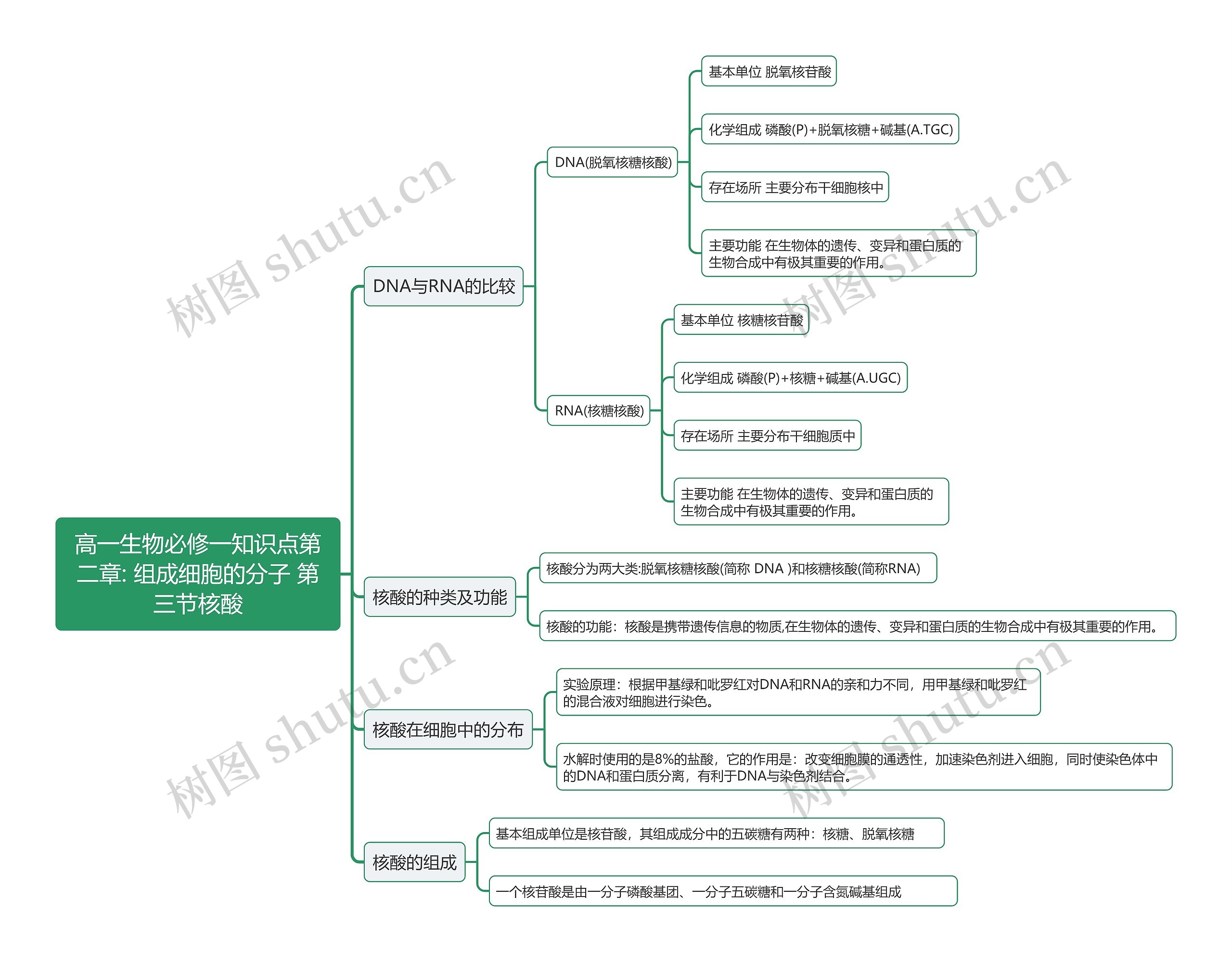 高一生物必修一知识点第二章: 组成细胞的分子 第三节核酸思维导图高清图 高一生物必修一知识点第二章: 组成细胞的分子 第三节核酸思维导图