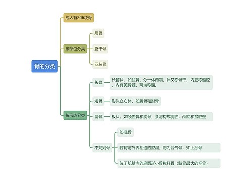 骨的分类思维导图