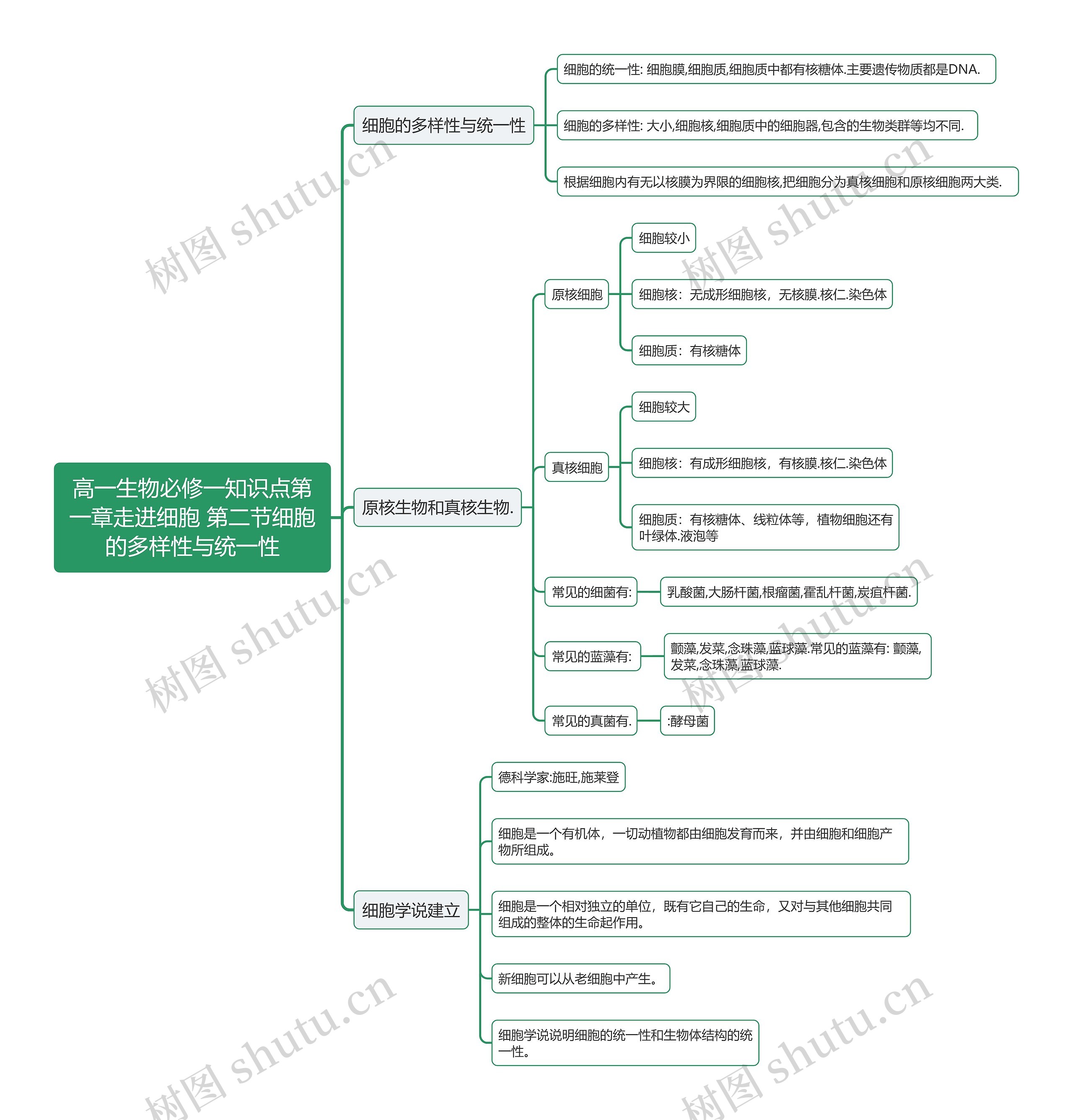 高一生物必修一知识点第一章走进细胞 第二节细胞的多样性与统一性思维导图