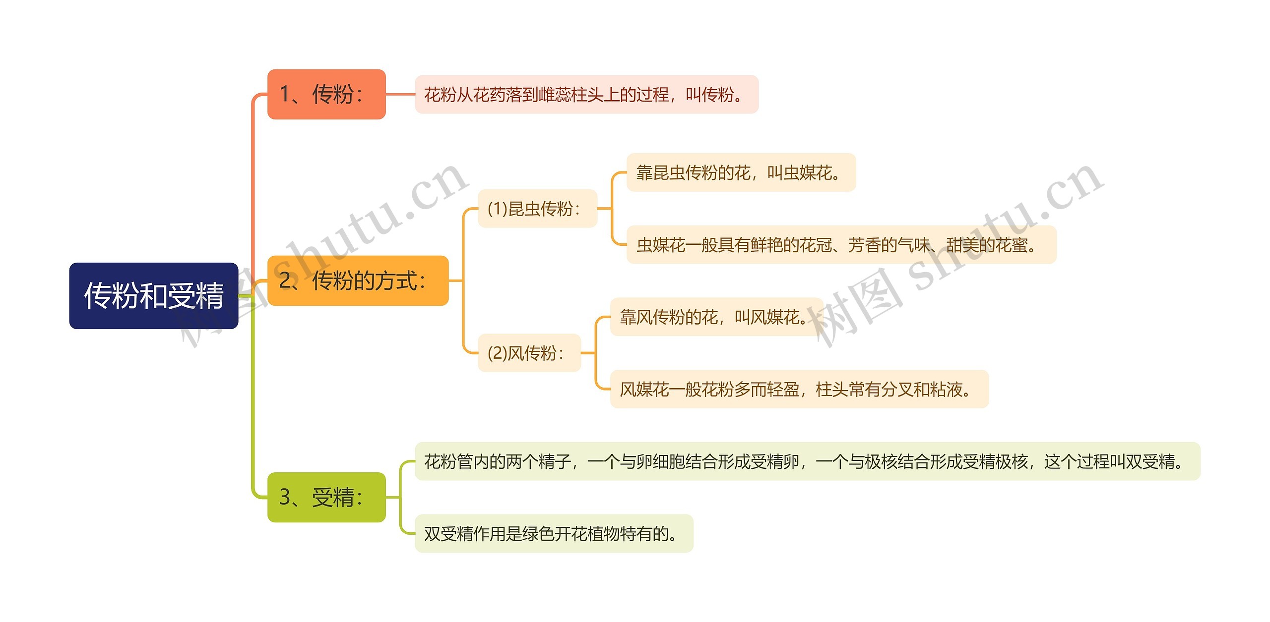 传粉和受精思维导图