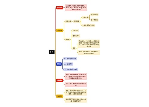 医学知识外鼻思维导图