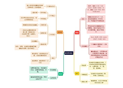 医学知识旋毛形线虫思维导图