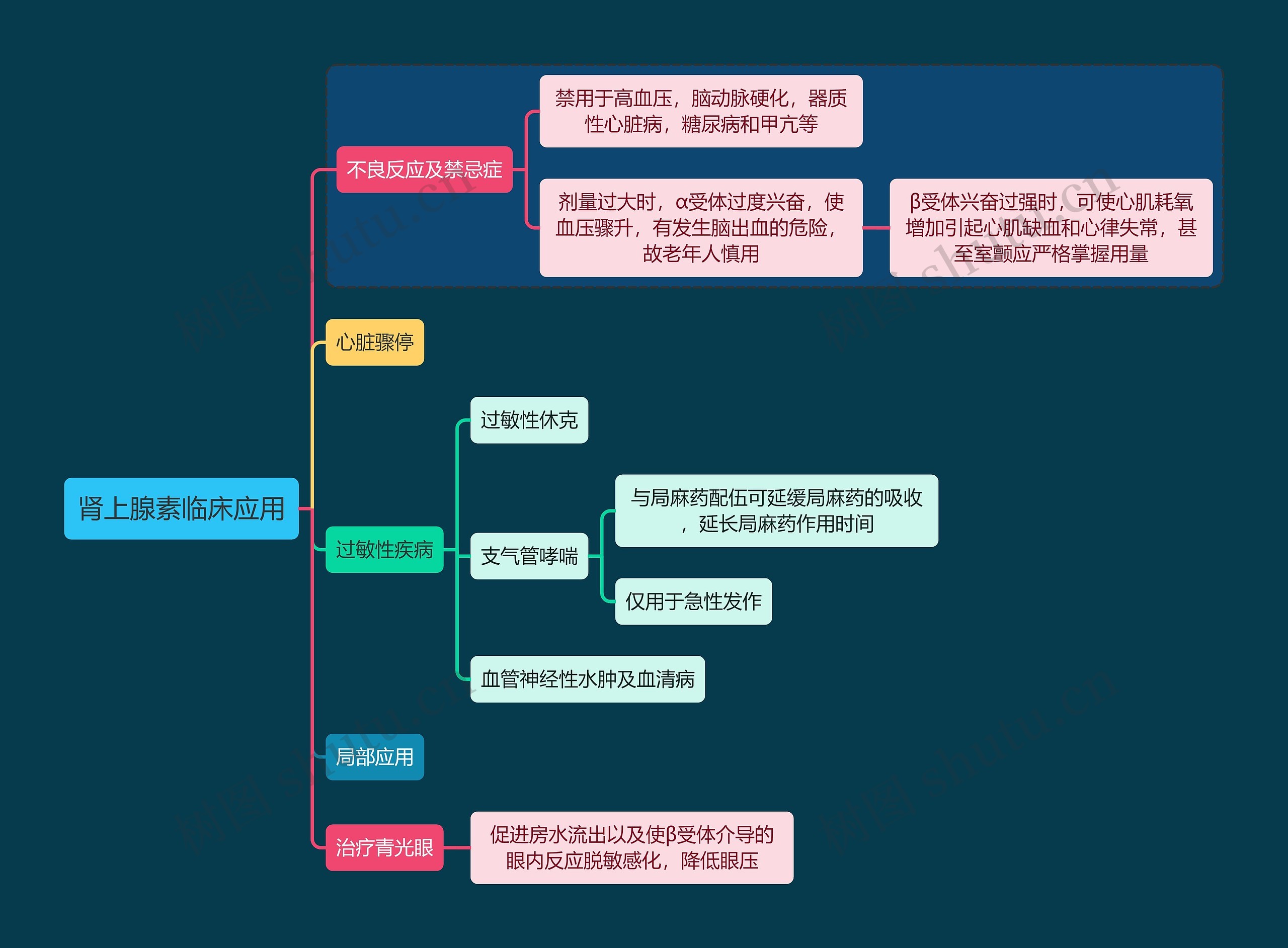 医学肾上腺素临床应用思维导图