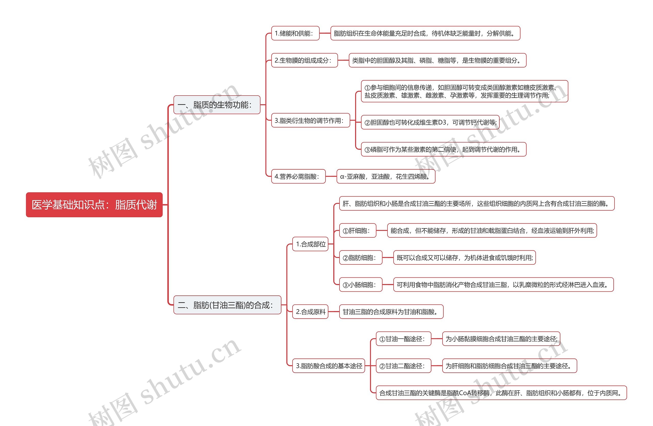 医学基础知识点：脂质代谢思维导图