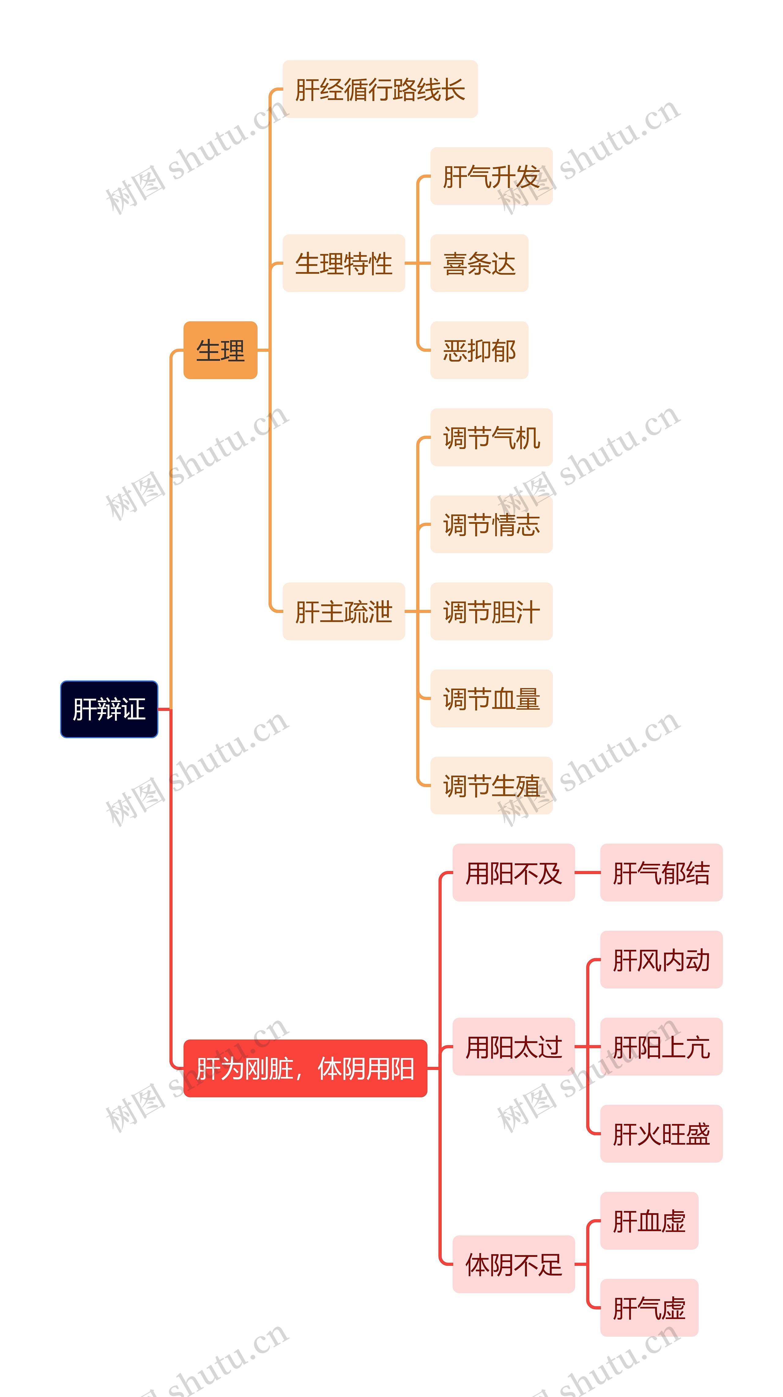 中医知识肝辩证思维导图