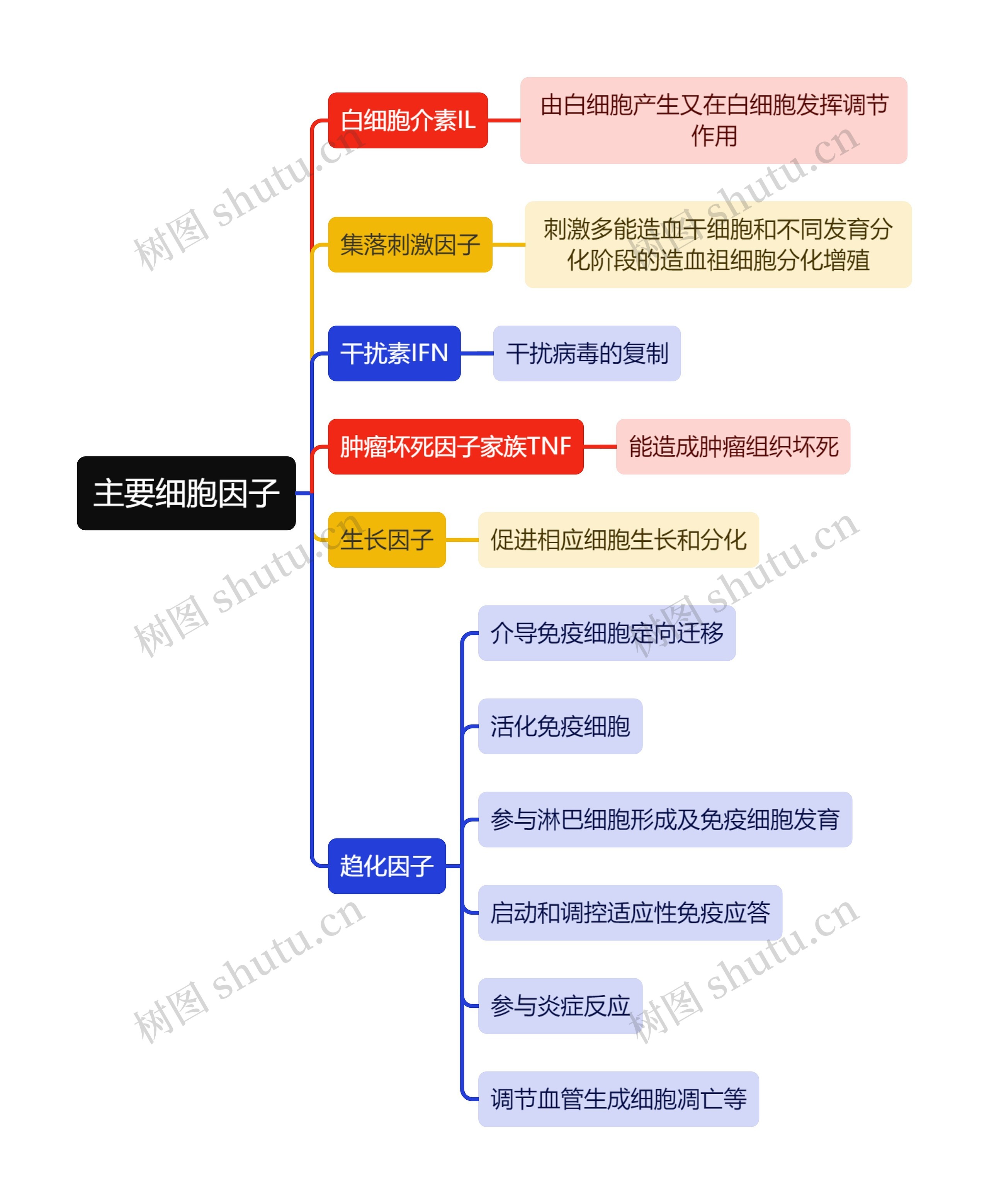 医学知识主要细胞因子思维导图