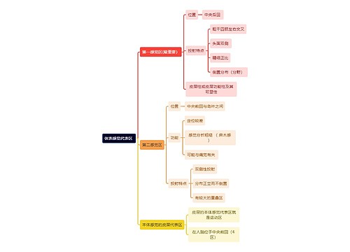 医学知识体表感觉代表区思维导图