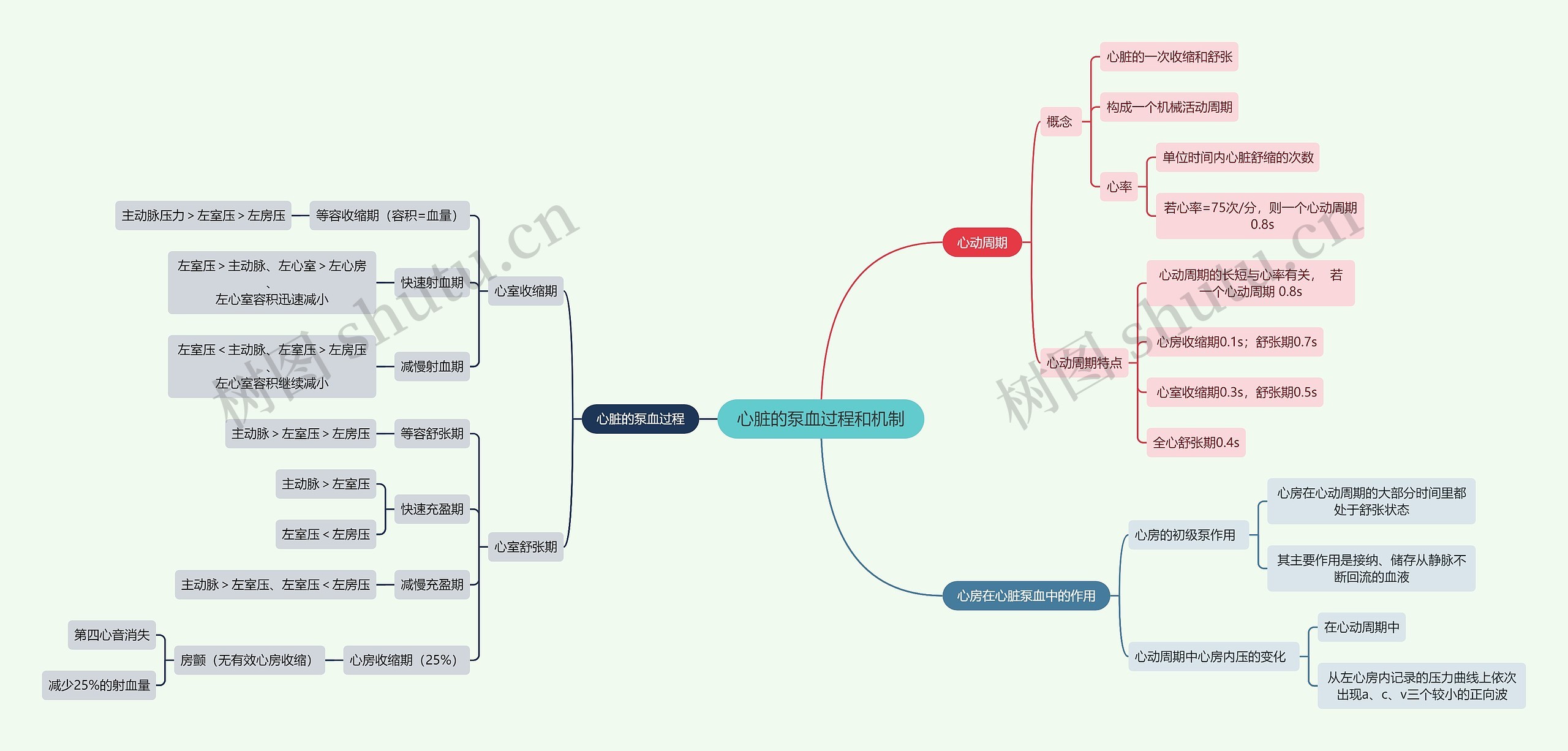 医学知识心脏的泵血过程和机制思维导图