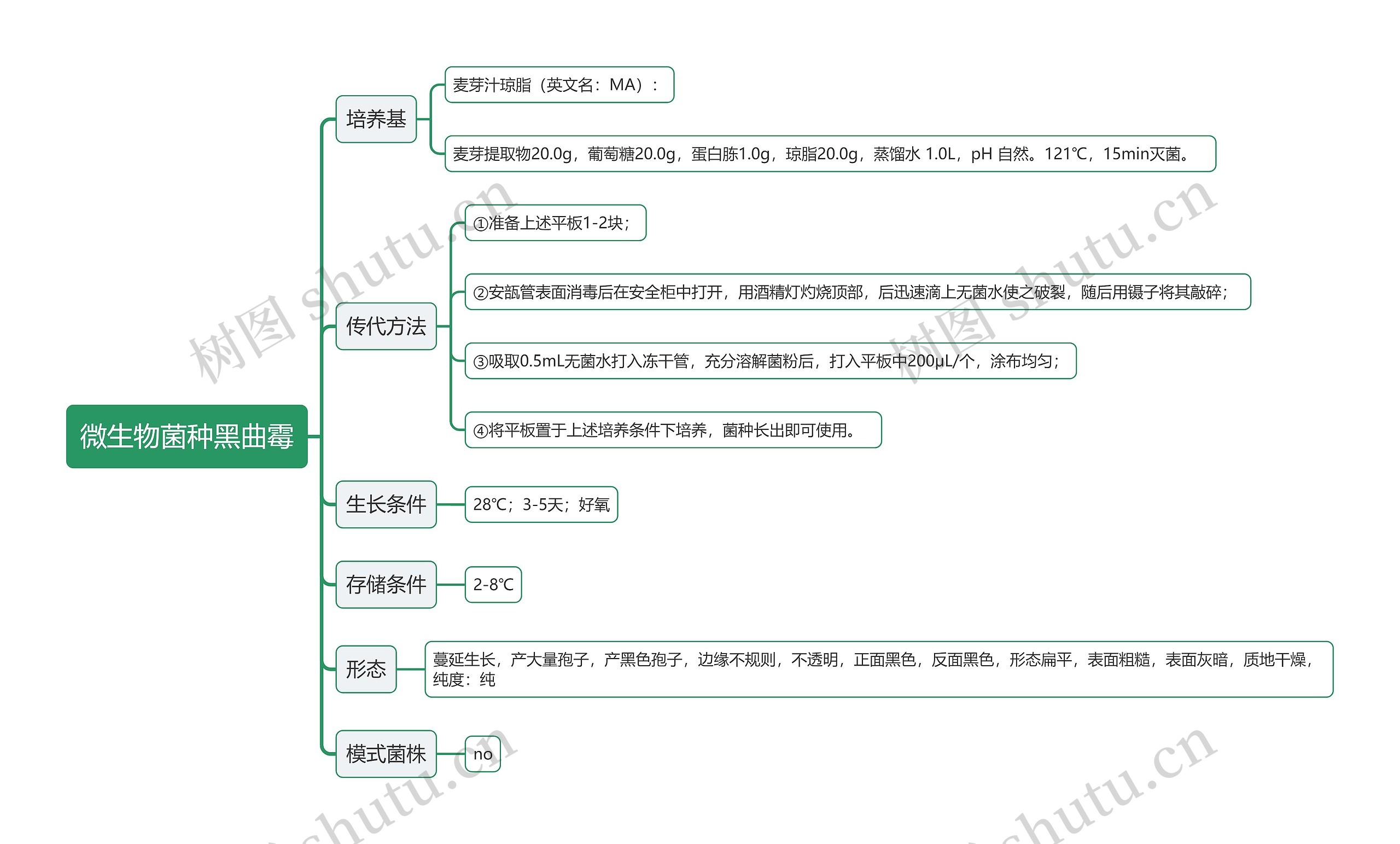 微生物菌种黑曲霉思维导图