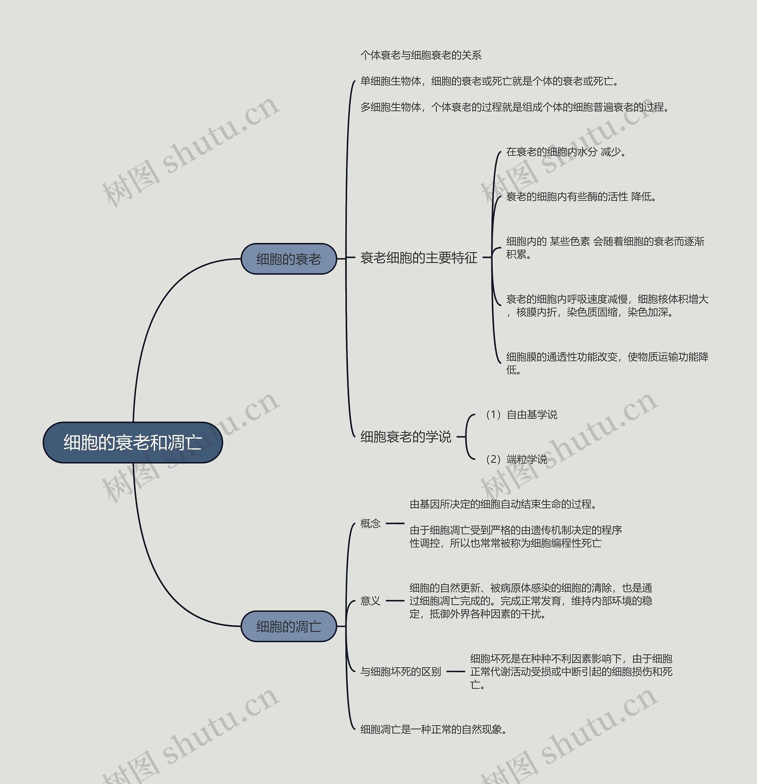 细胞的衰老和凋亡的思维导图