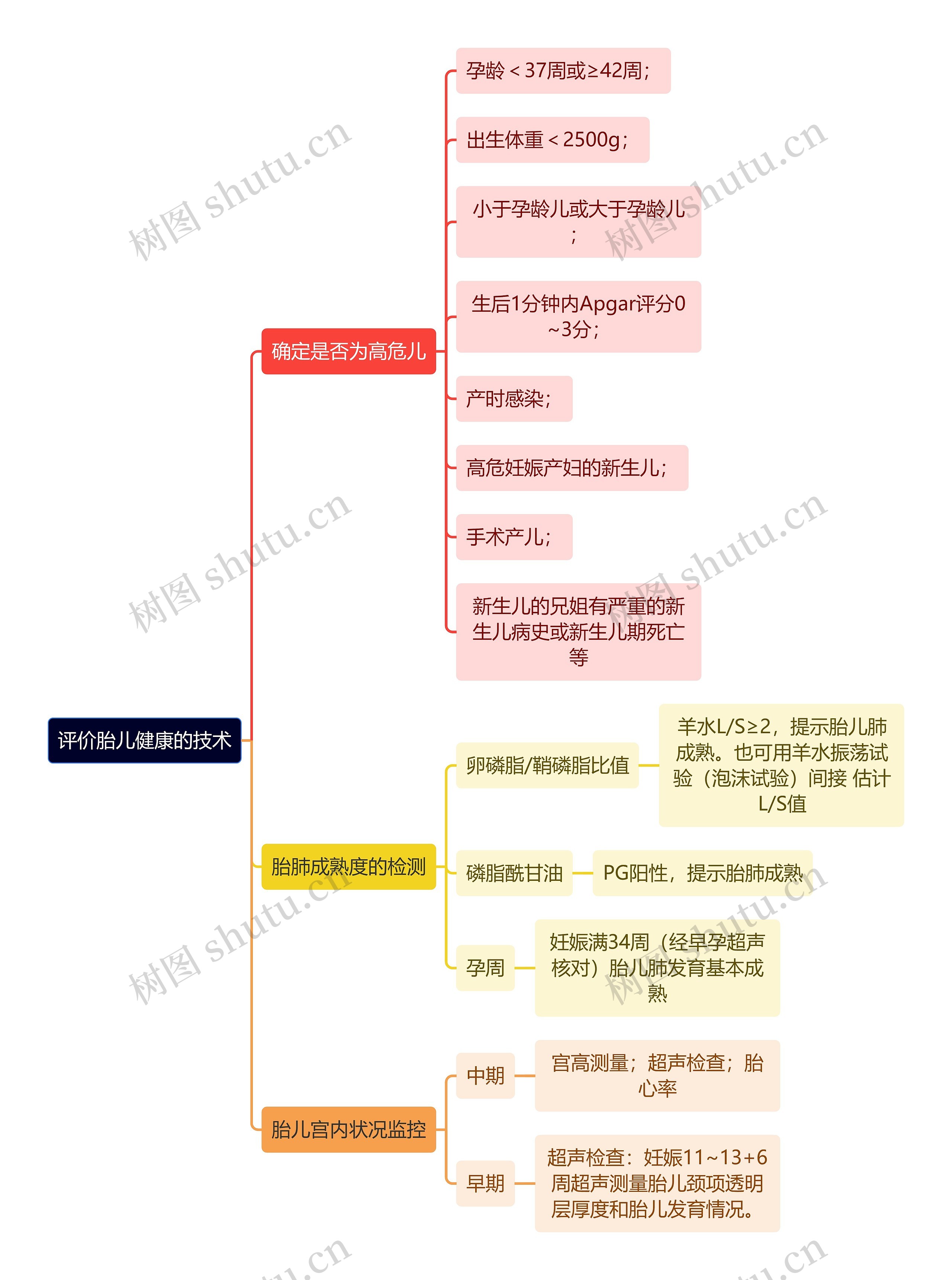 医学知识评价胎儿健康的技术思维导图