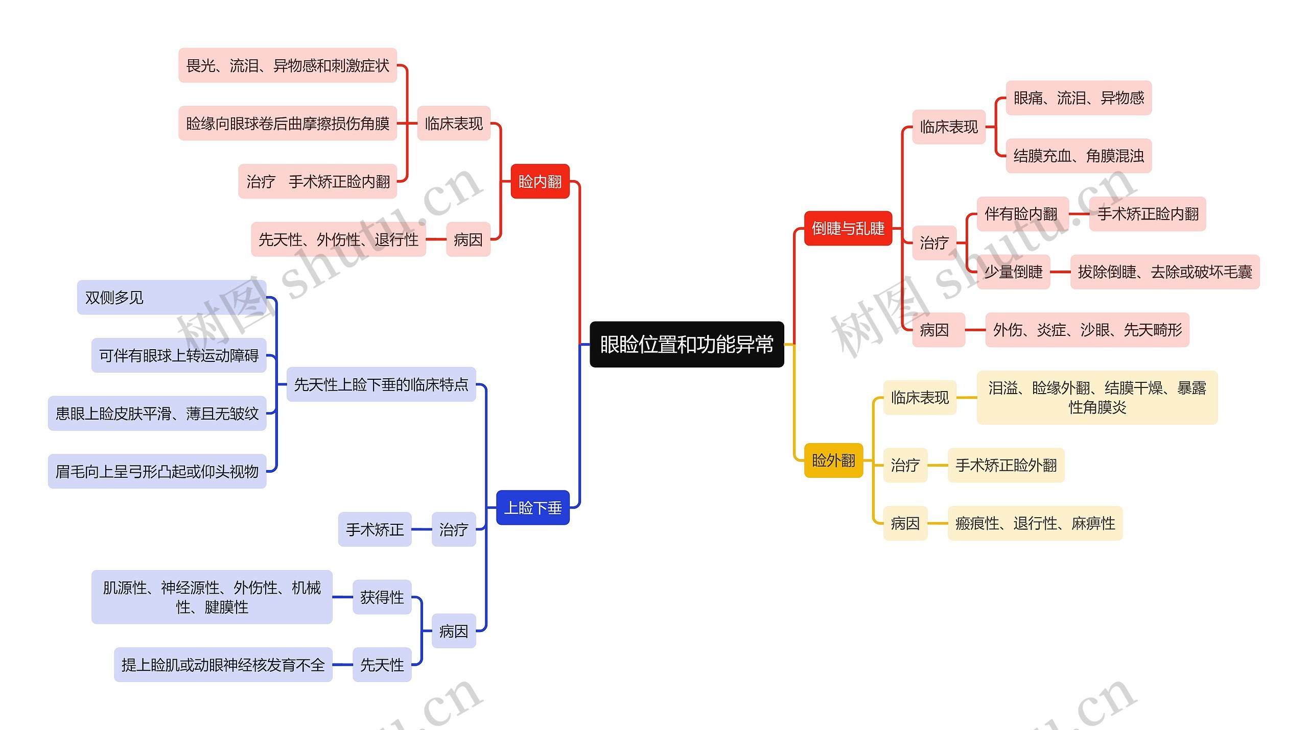 医学知识眼睑位置和功能异常思维导图