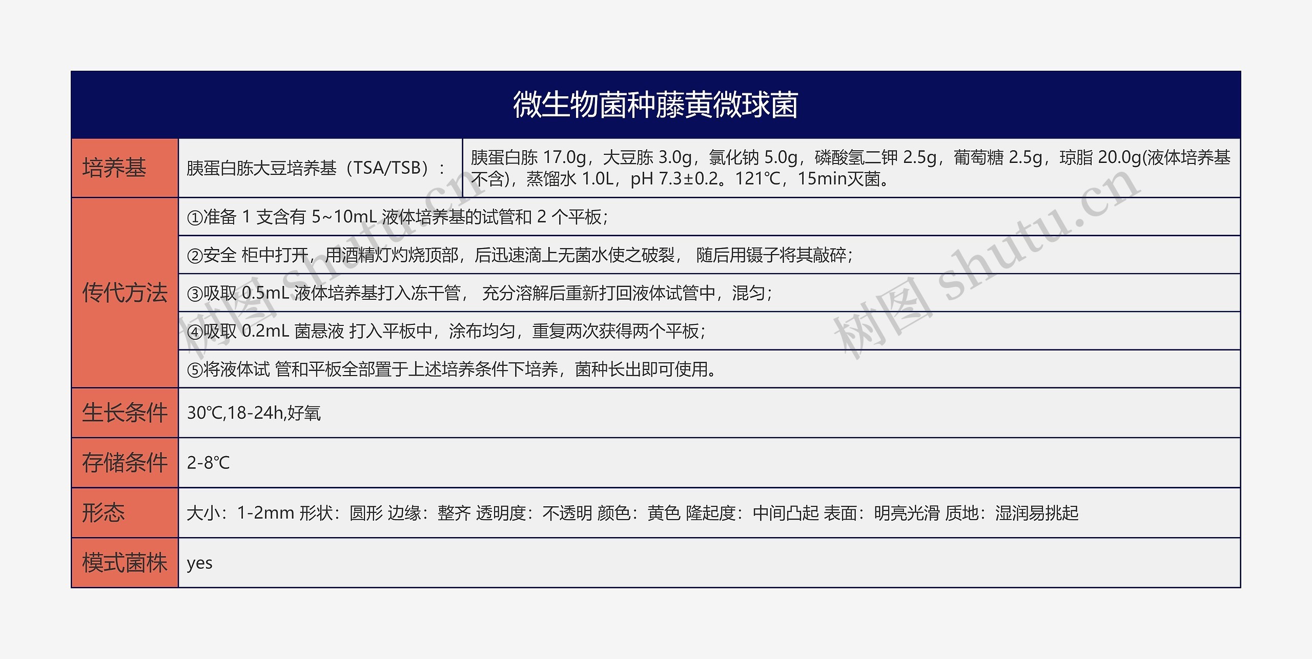 微生物菌种藤黄微球菌思维导图