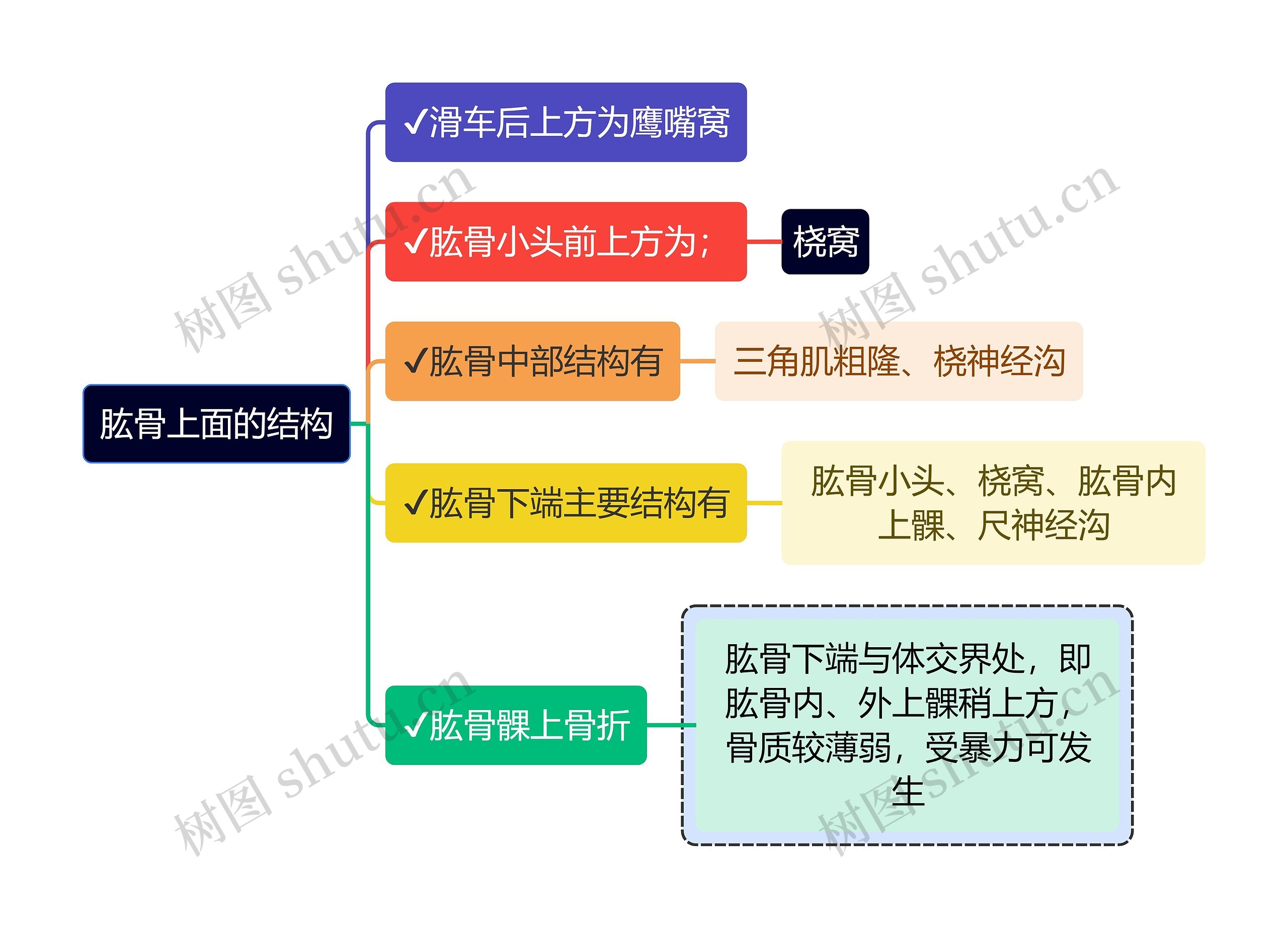 医学知识肱骨上面的结构思维导图