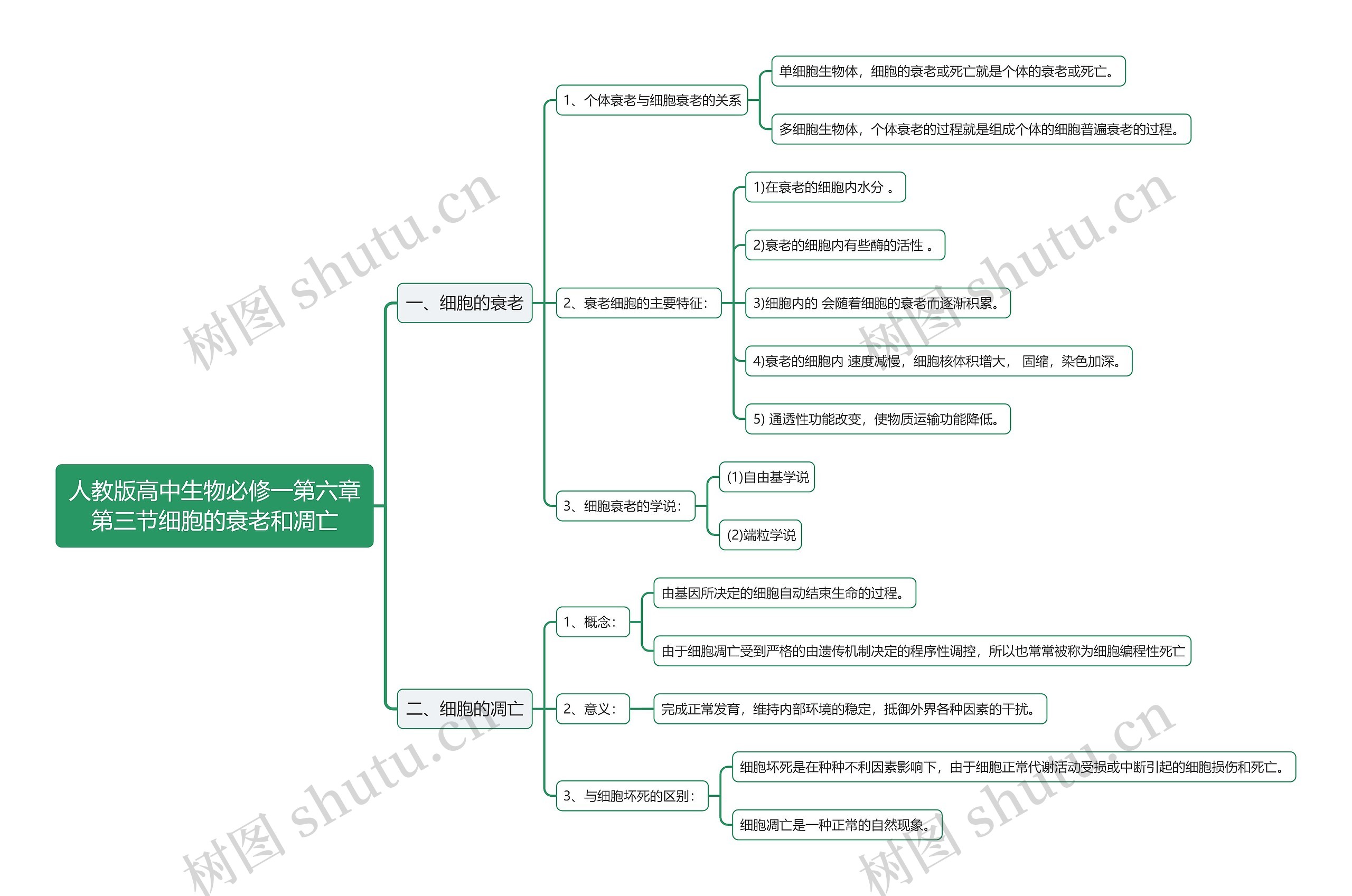 人教版高中生物必修一第六章第三节细胞的衰老和凋亡思维导图高清图 人教版高中生物必修一第六章第三节细胞的衰老和凋亡思维导图