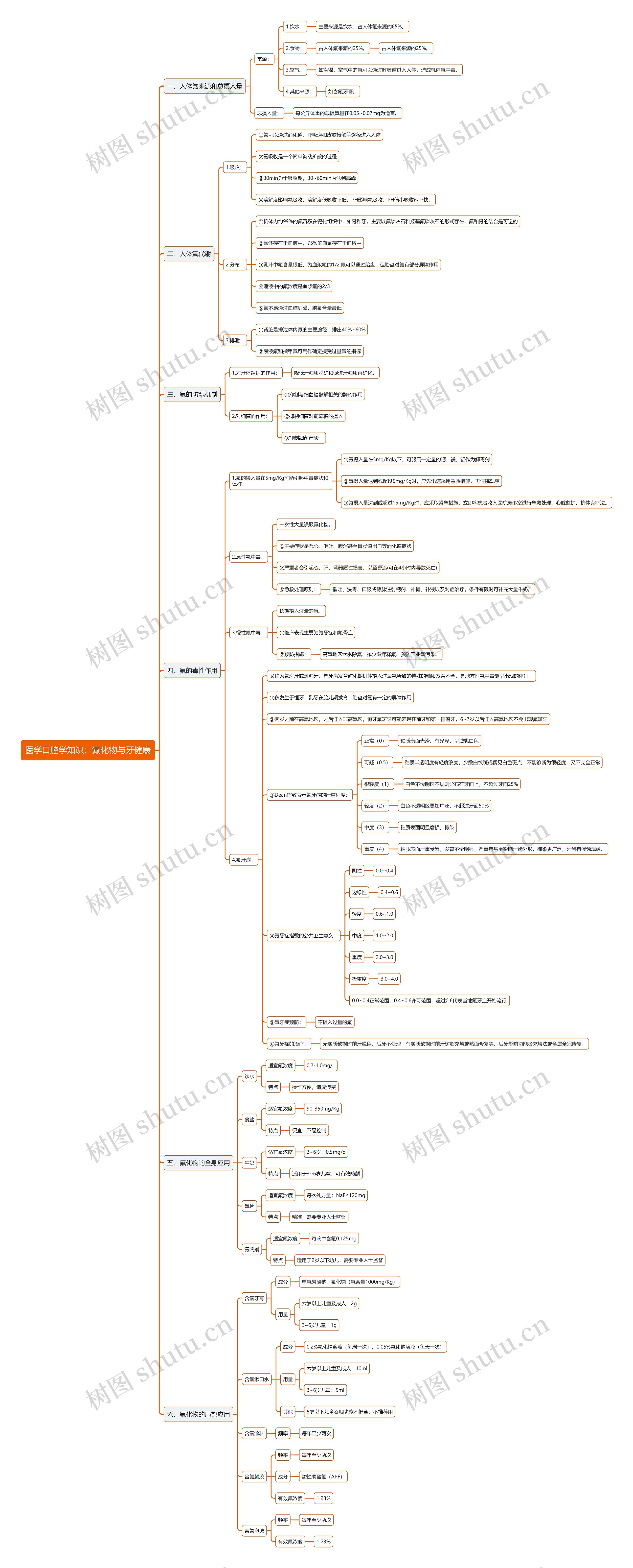 医学口腔学知识：氟化物与牙健康思维导图