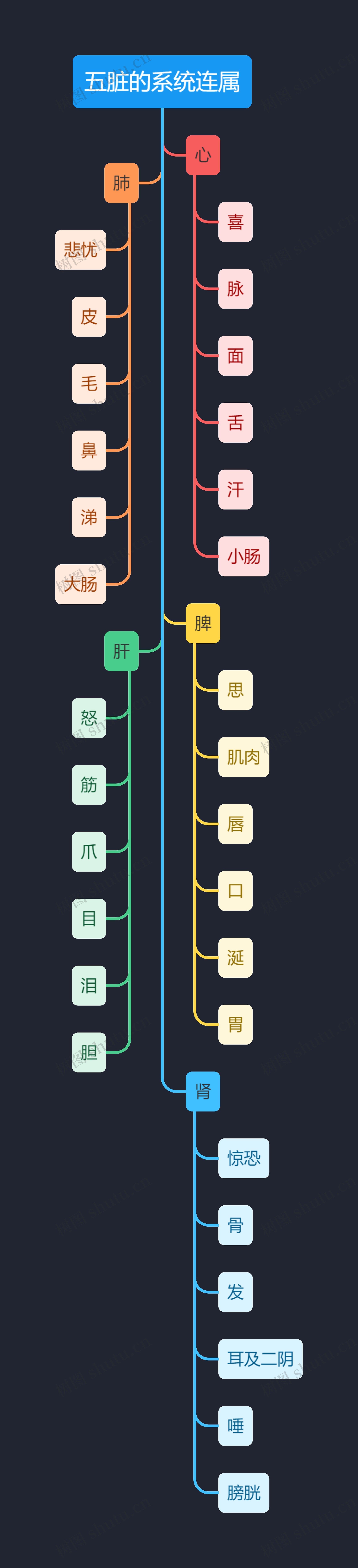 中医知识五脏的系统连属思维导图