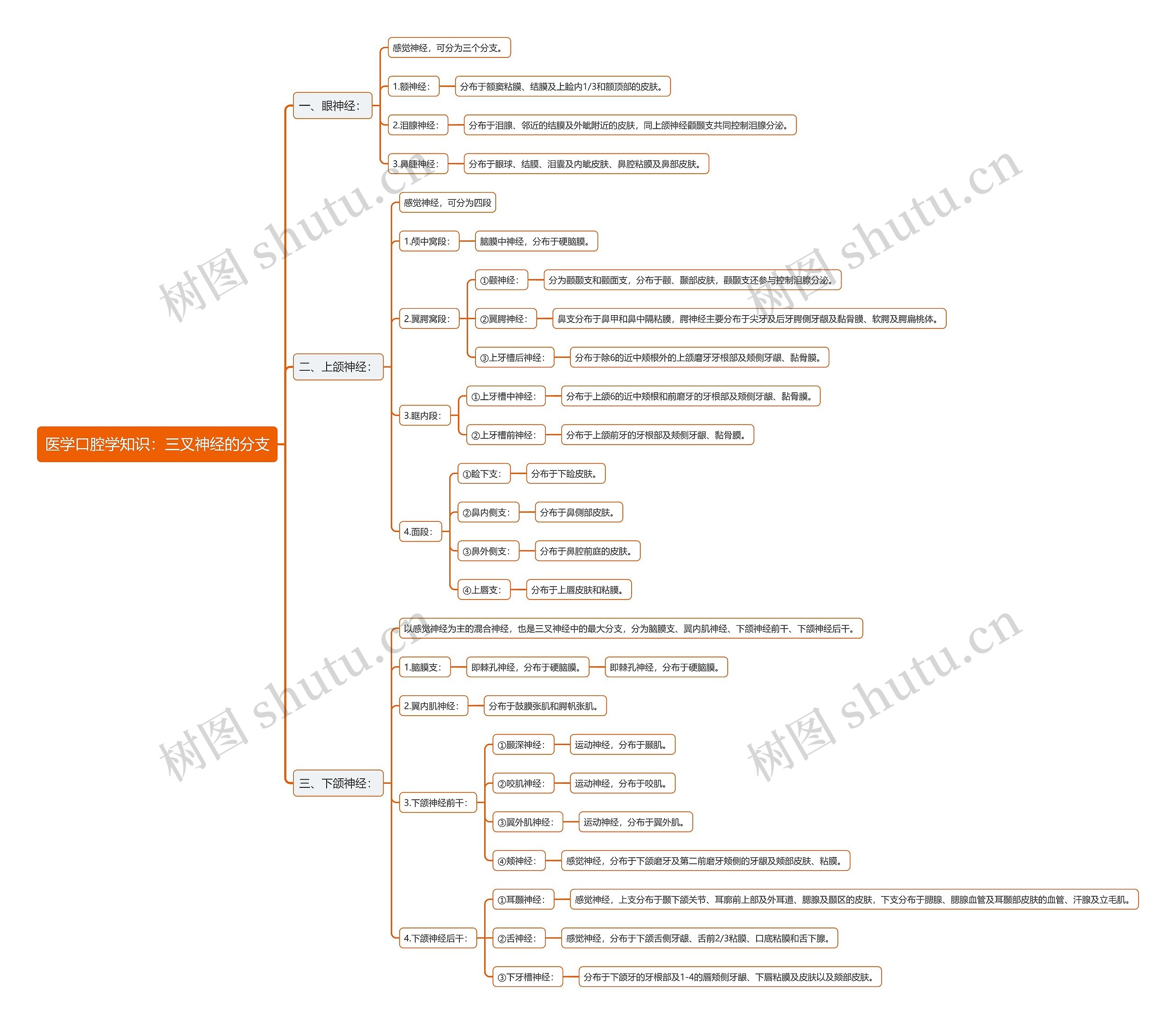 医学口腔学知识：三叉神经的分支思维导图