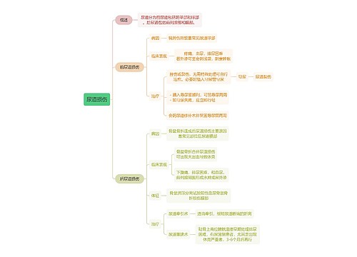 内科学知识尿道损伤思维导图