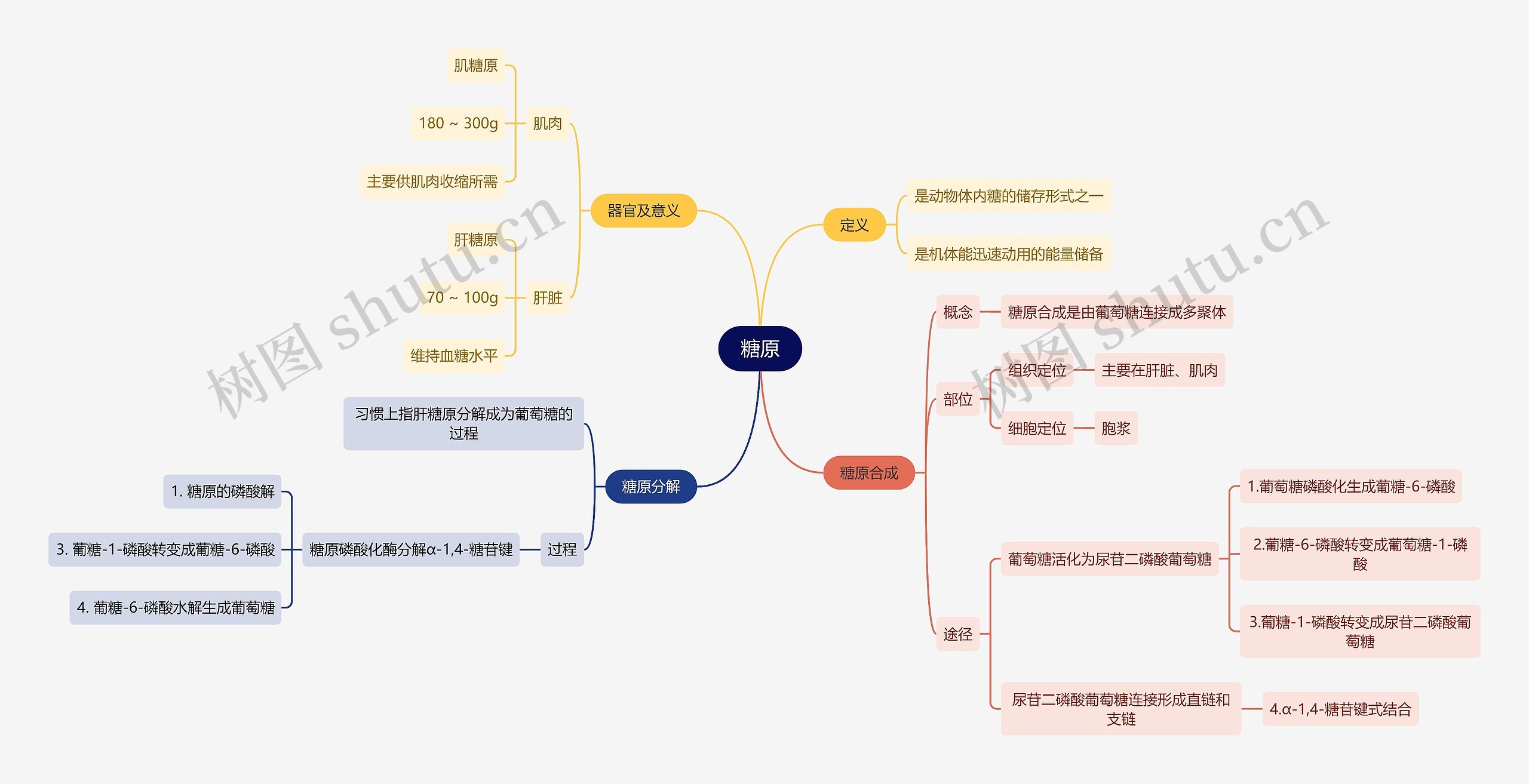 生化知识糖原思维导图