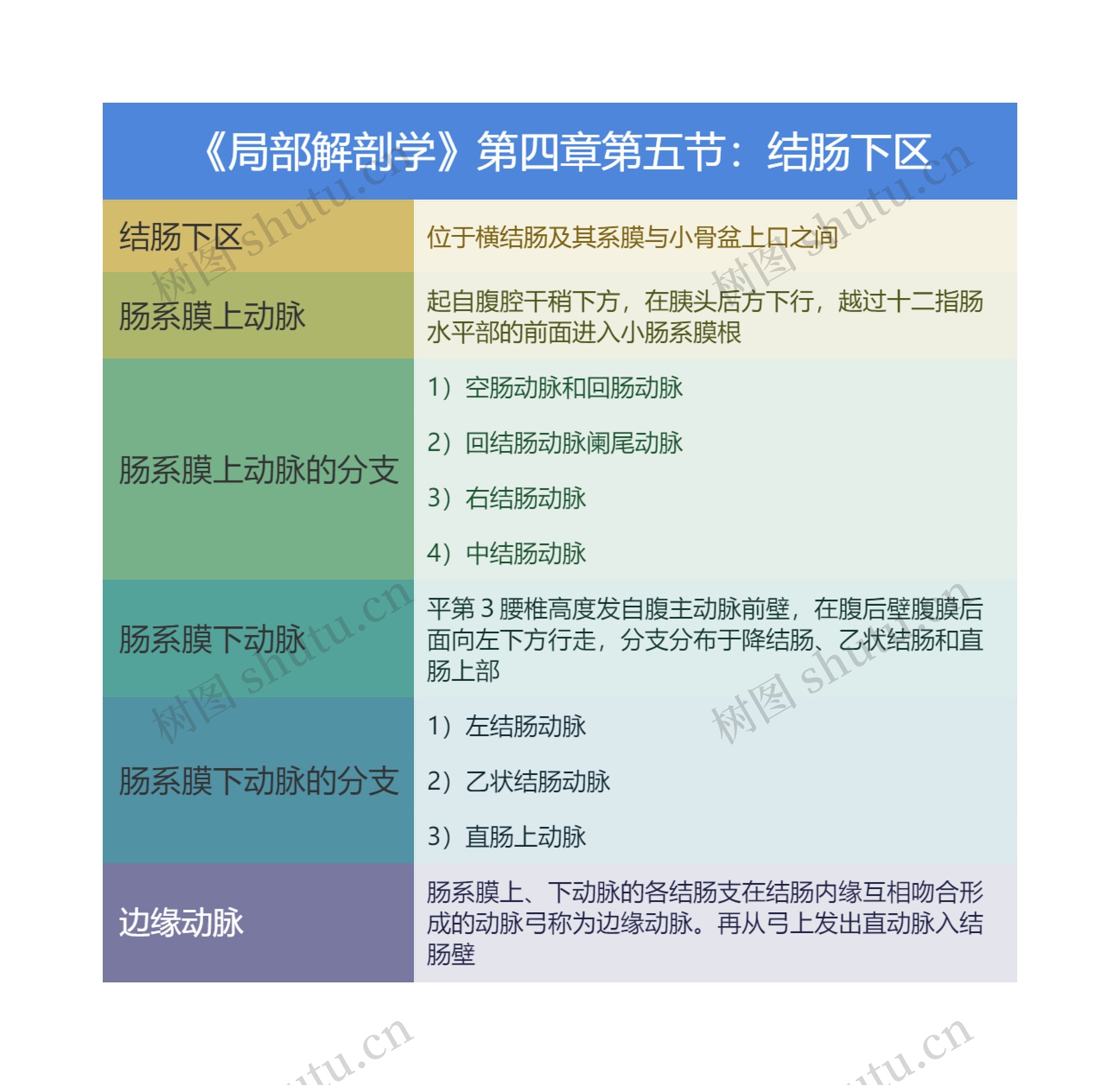 《局部解剖学》第四章第五节：结肠下区