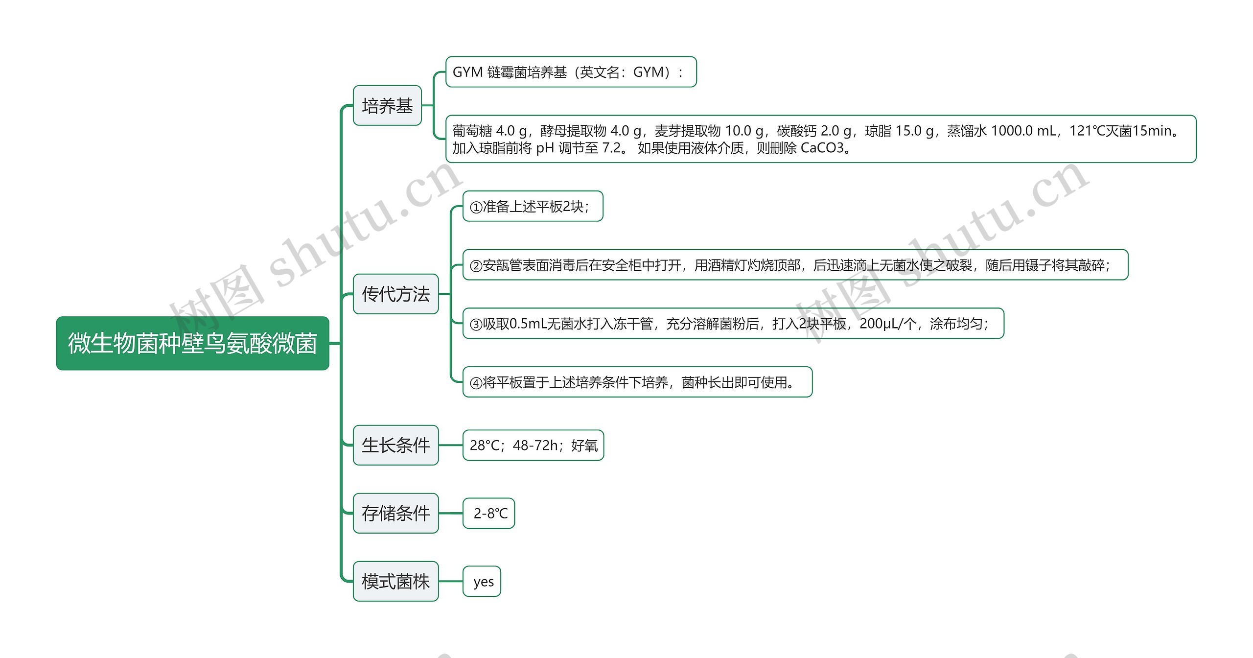 微生物菌种壁鸟氨酸微菌思维导图