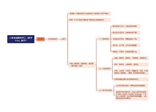 《人体系统解剖学三（肌学十九）脑干7》思维导图