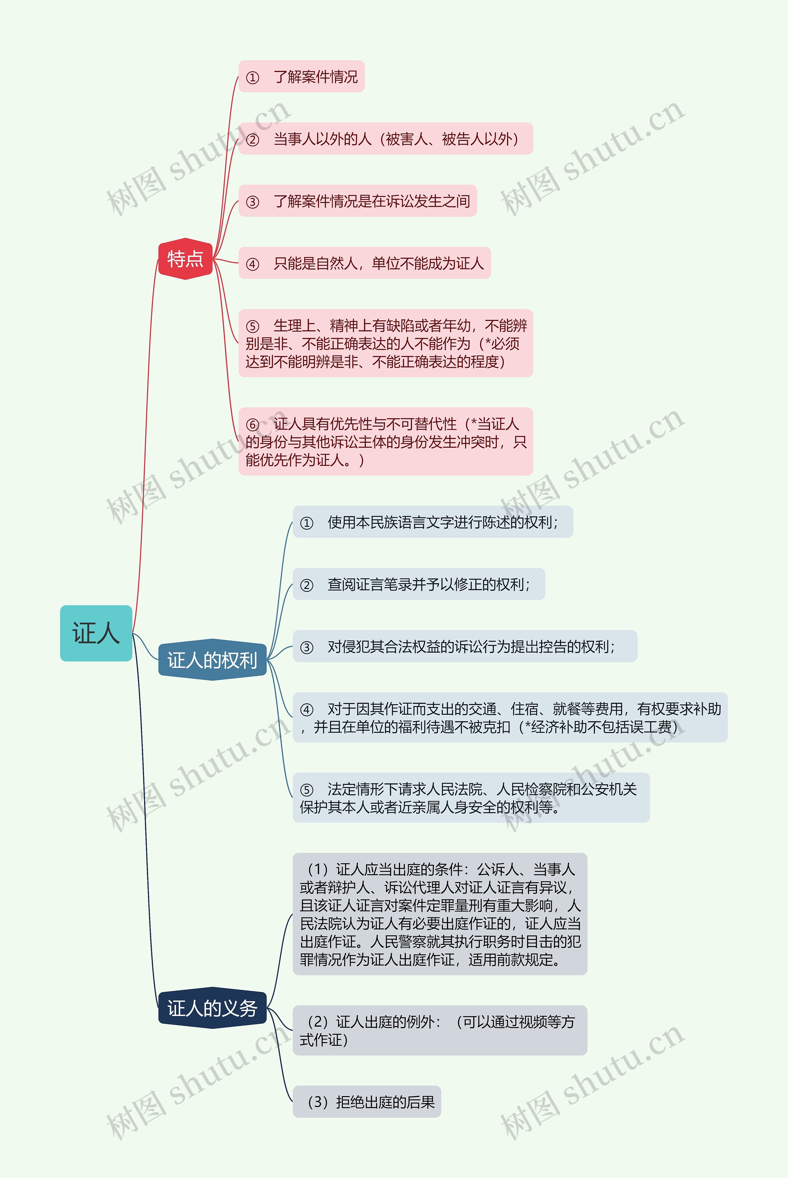 ﻿证人的思维导图