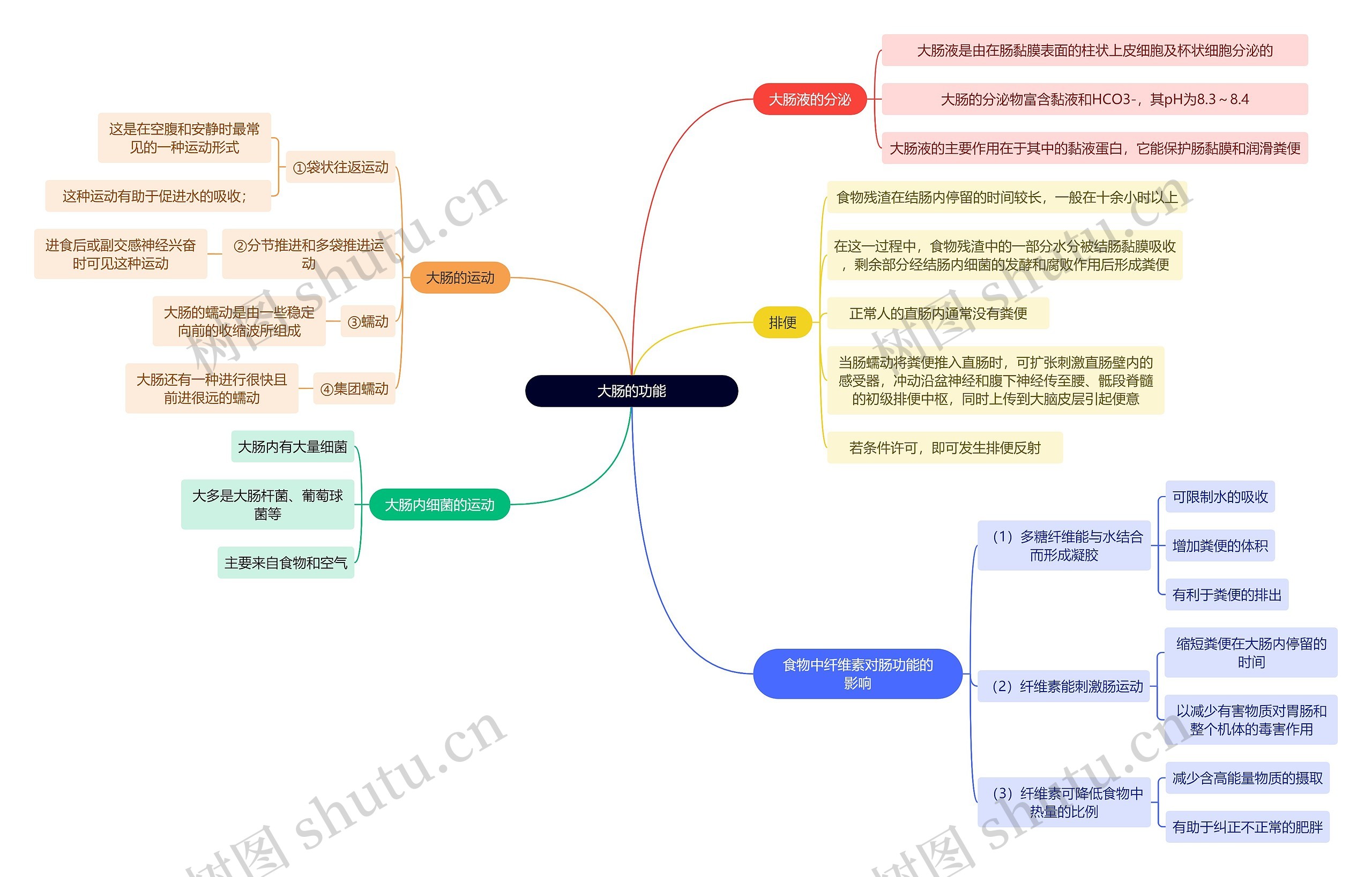 医学知识大肠的功能思维导图