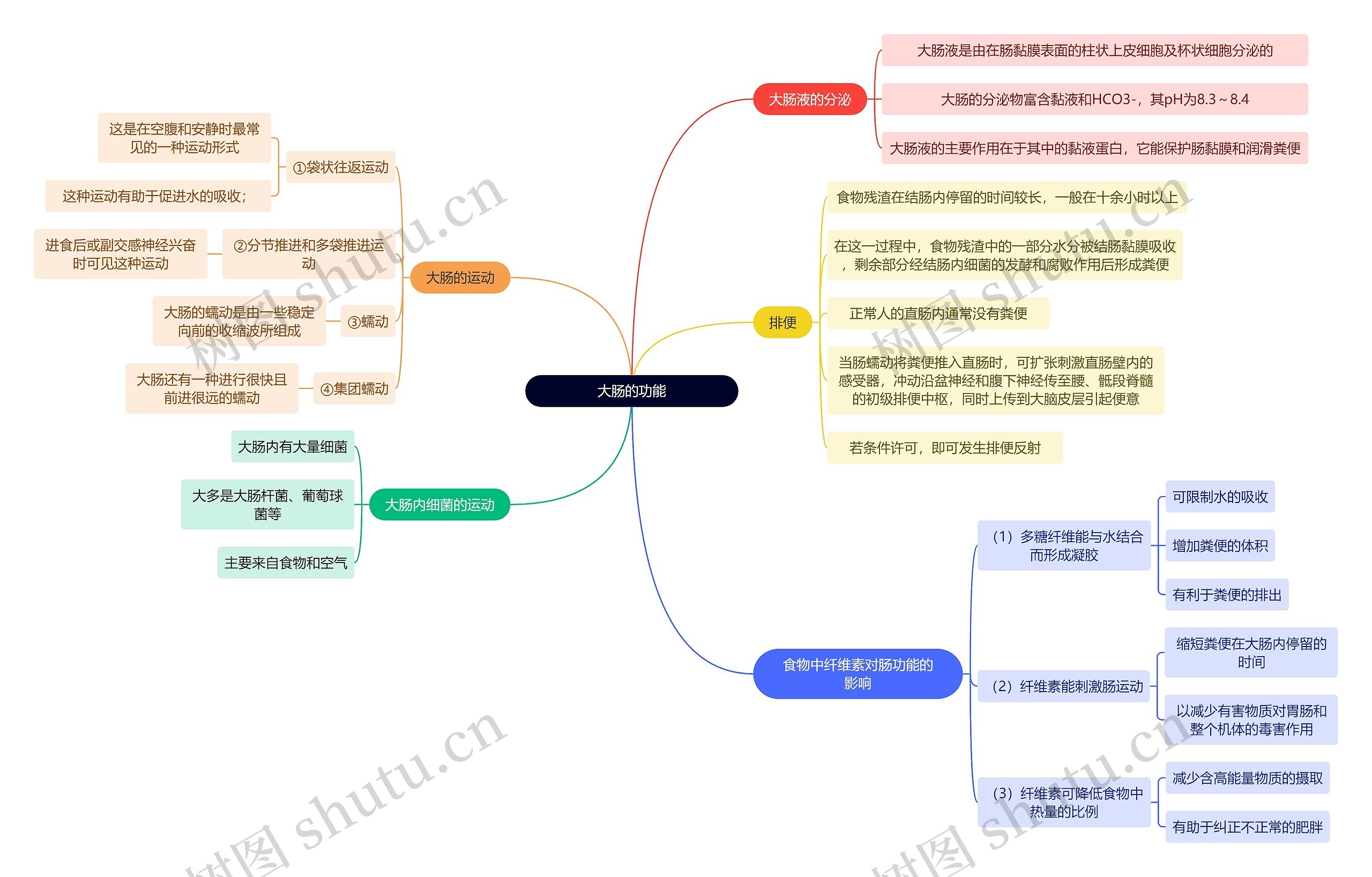 医学知识大肠的功能思维导图高清图 医学知识大肠的功能思维导图