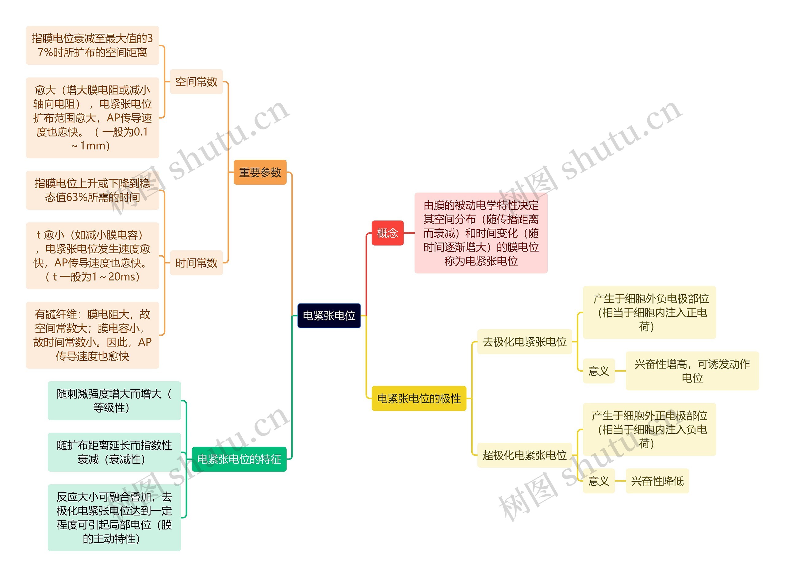 医学知识电紧张电位思维导图