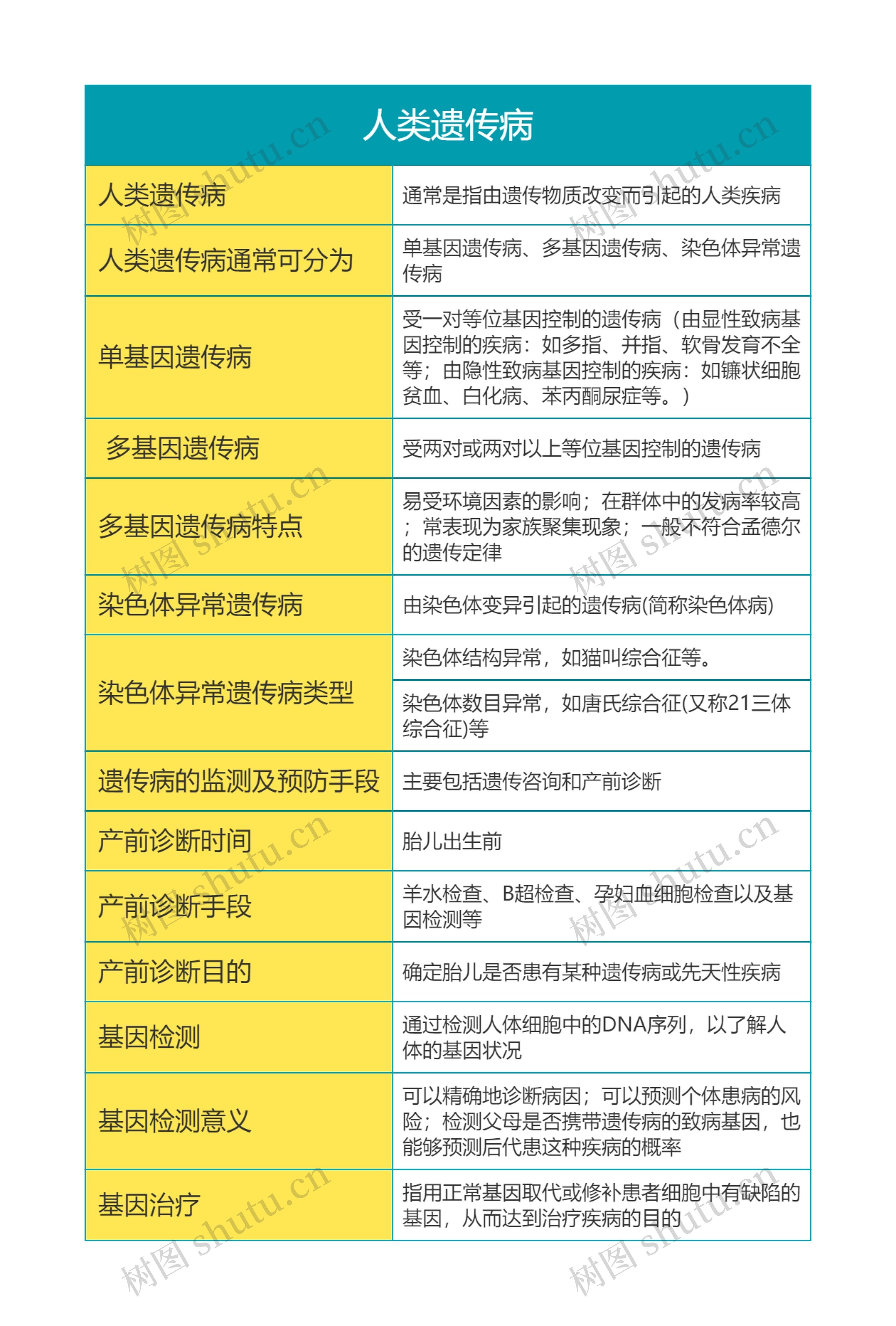 高中生物必修二第五单元人类遗传病思维导图