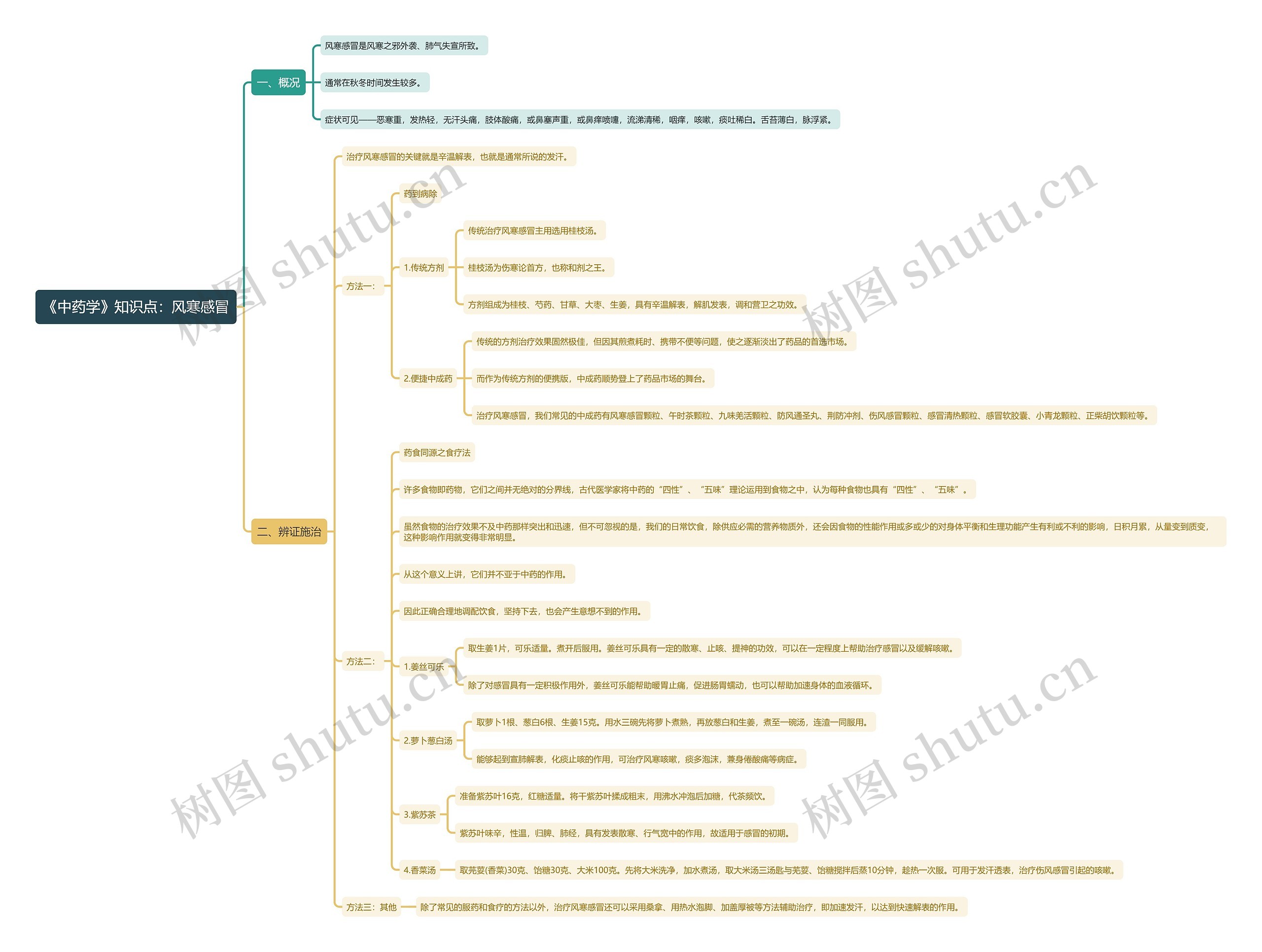 《中药学》知识点：风寒感冒思维导图