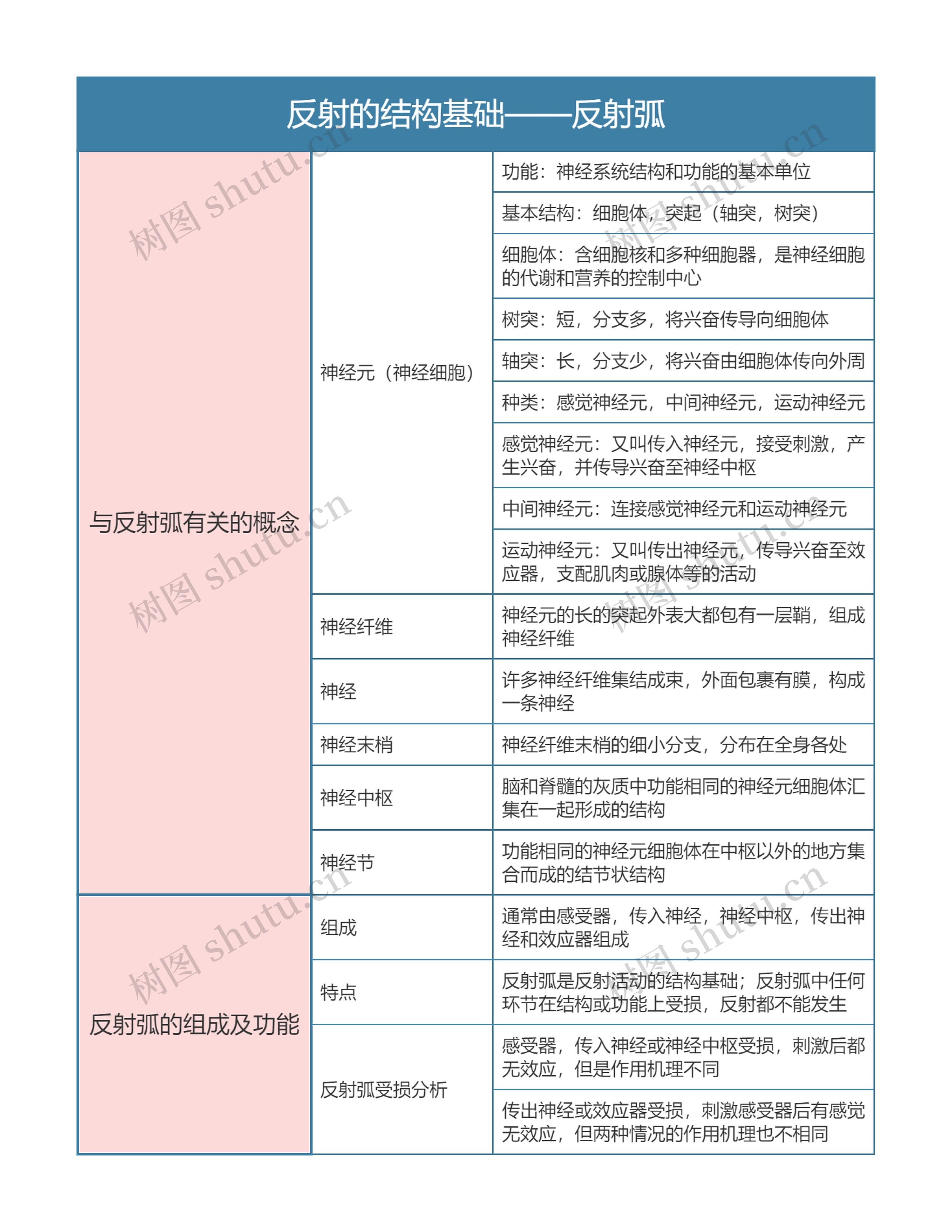 高中生物必修三反射的结构基础——反射弧思维导图