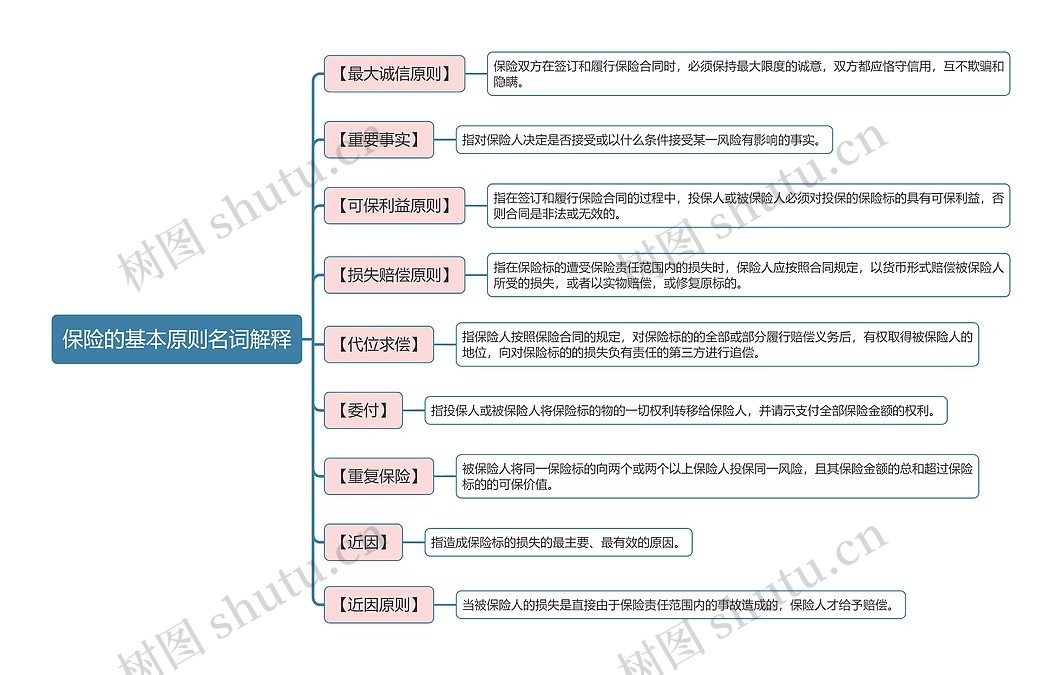 保险的基本原则名词解释思维导图_编号t5677559-TreeMind树图