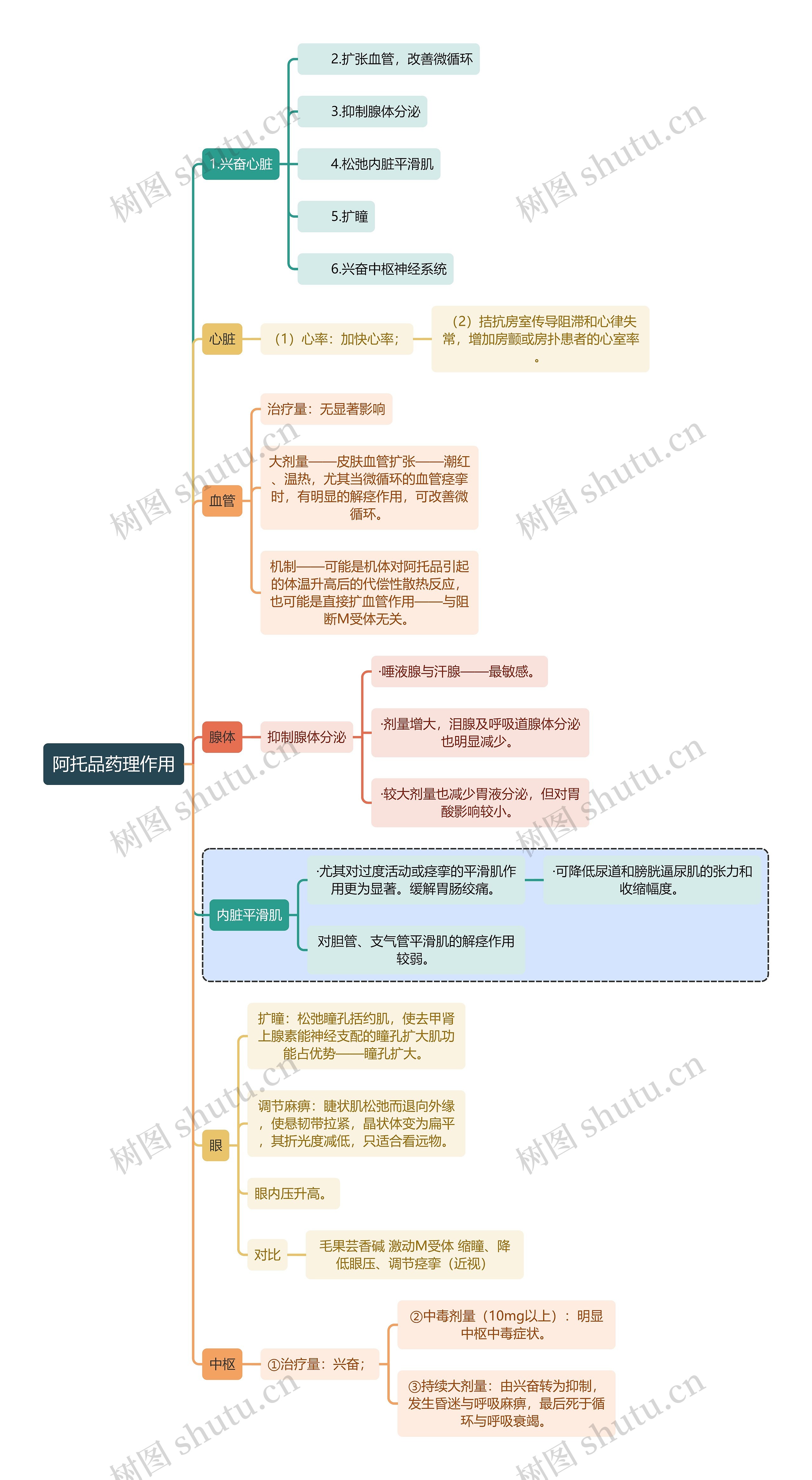 医学阿托品药理作用思维导图