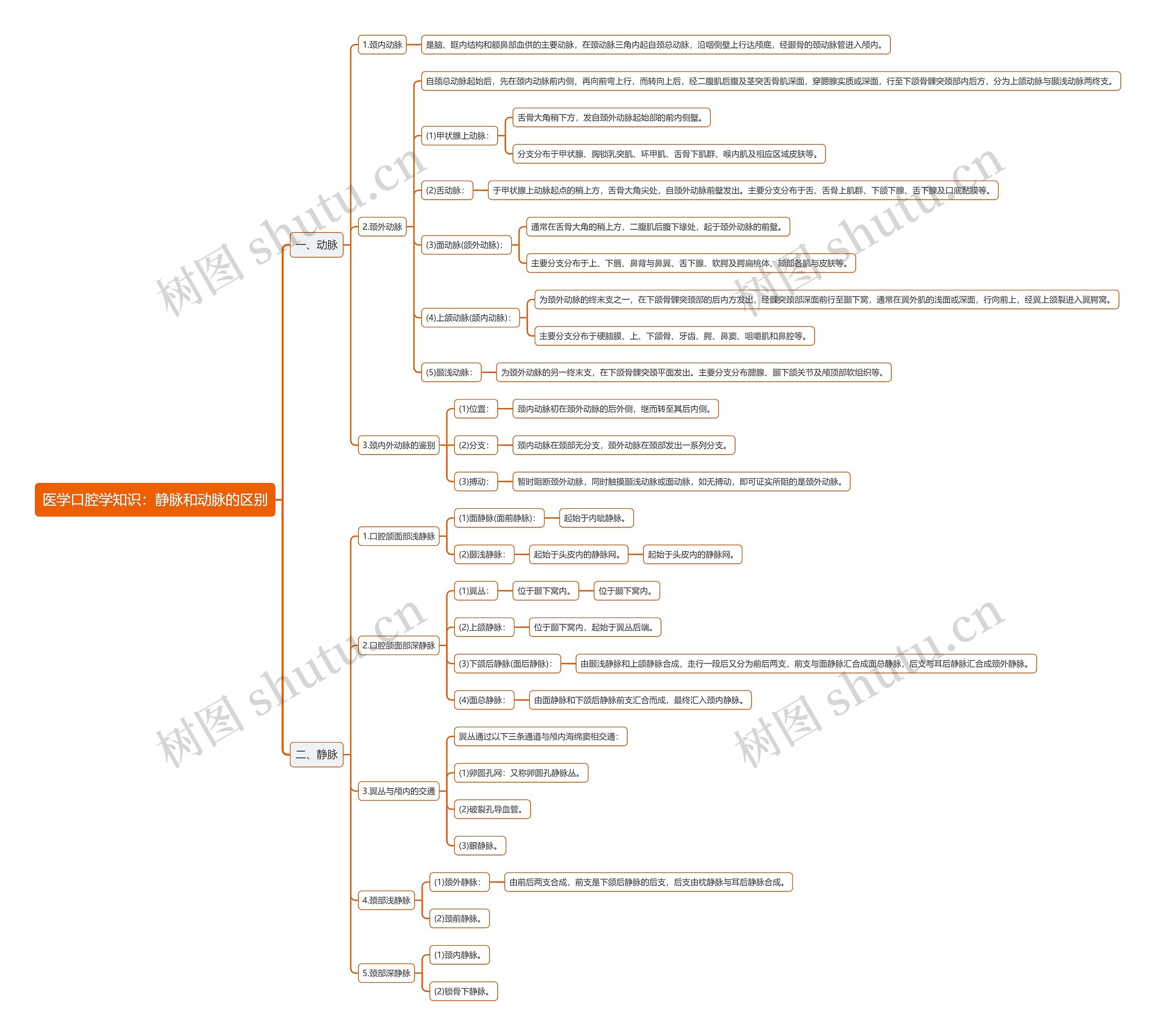 医学口腔学知识：静脉和动脉的区别思维导图