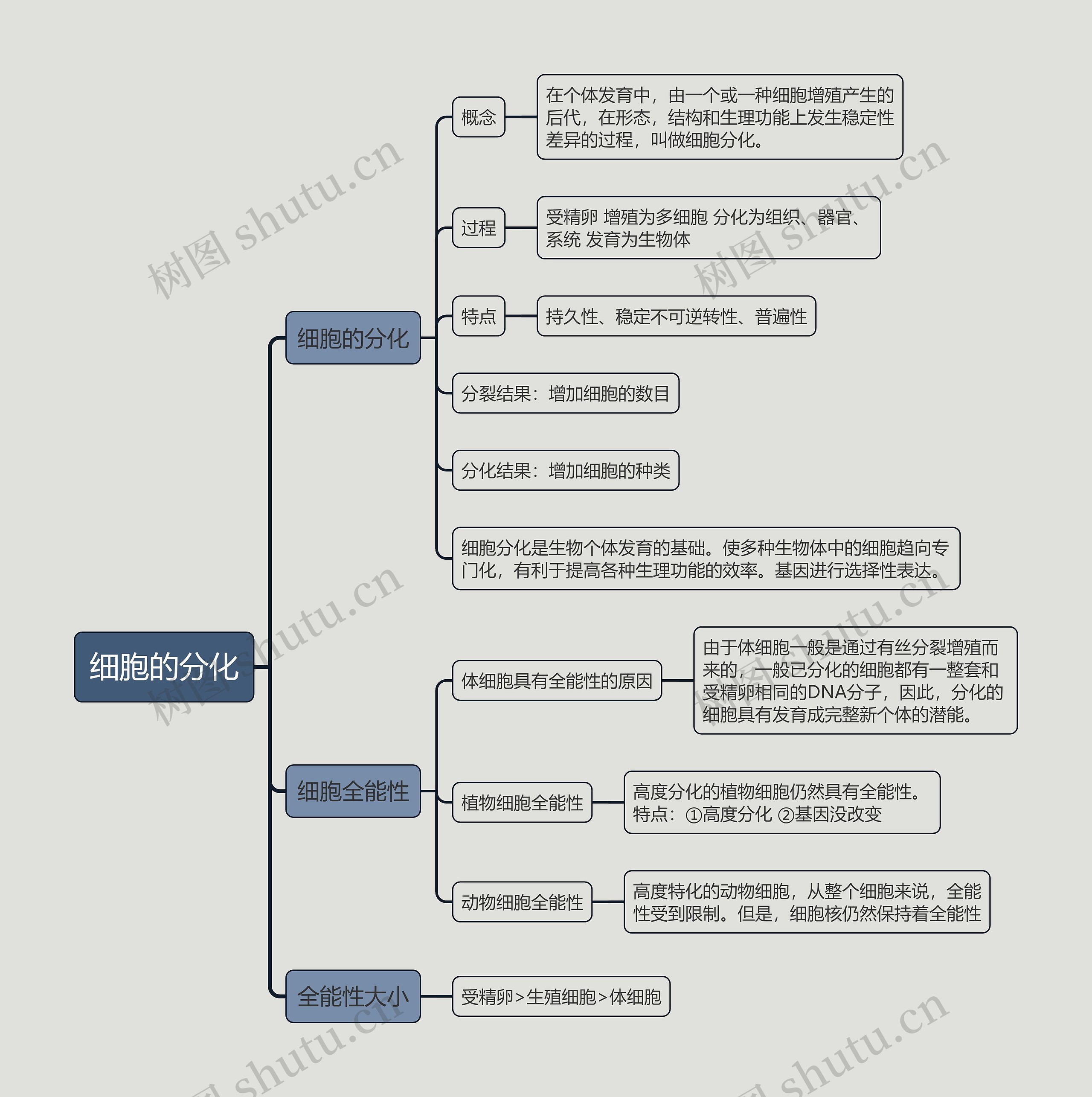 细胞的分化的思维导图