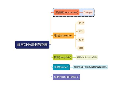 医学知识参与DNA复制的物质思维导图