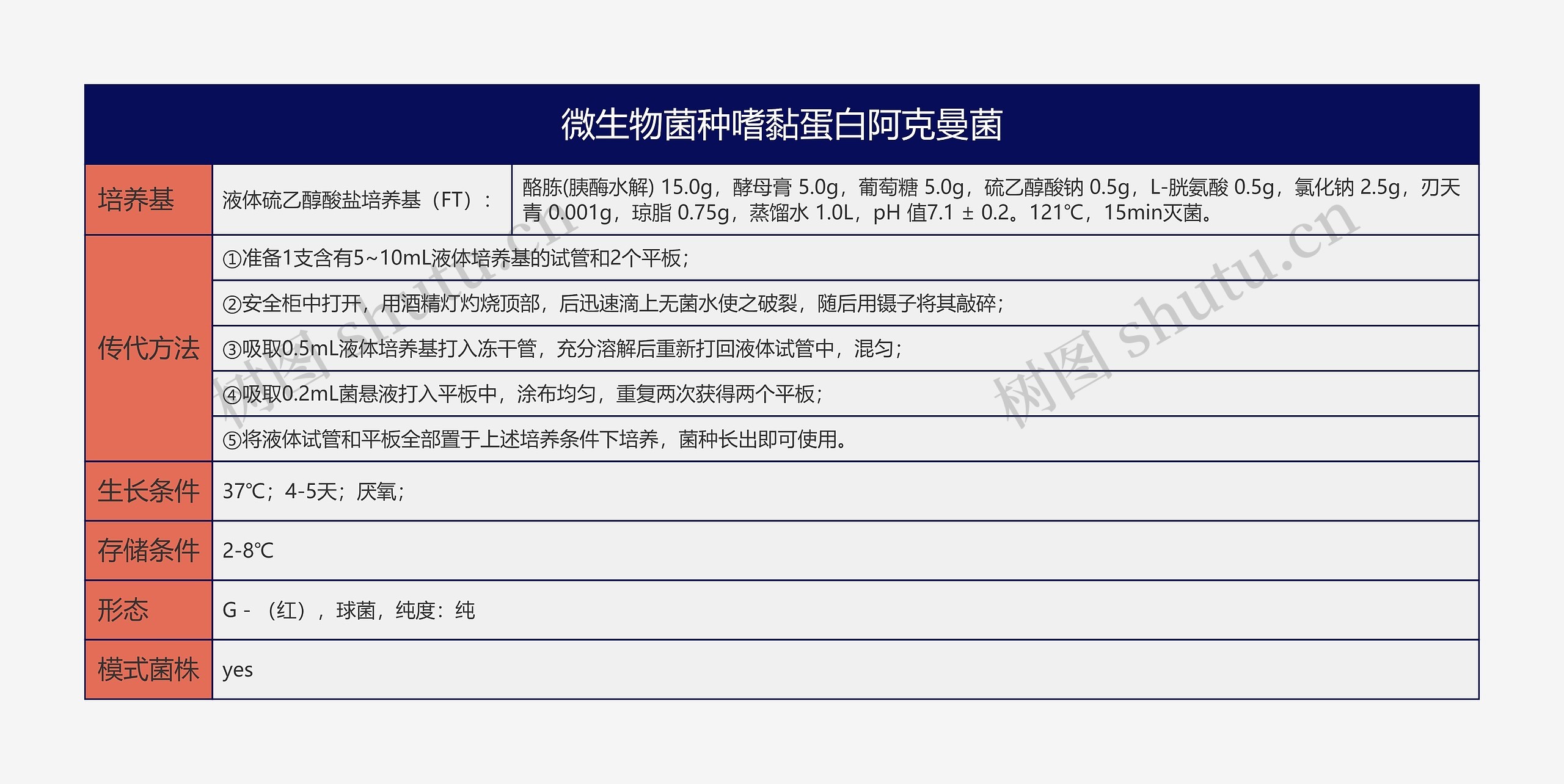 微生物菌种嗜黏蛋白阿克曼菌思维导图