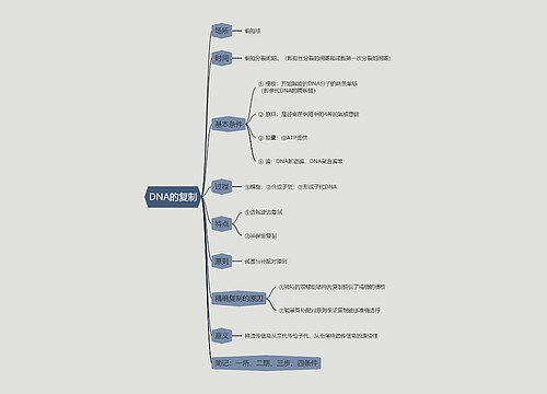 DNA的复制的思维导图