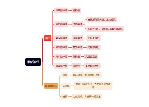 医学知识眼部神经思维导图