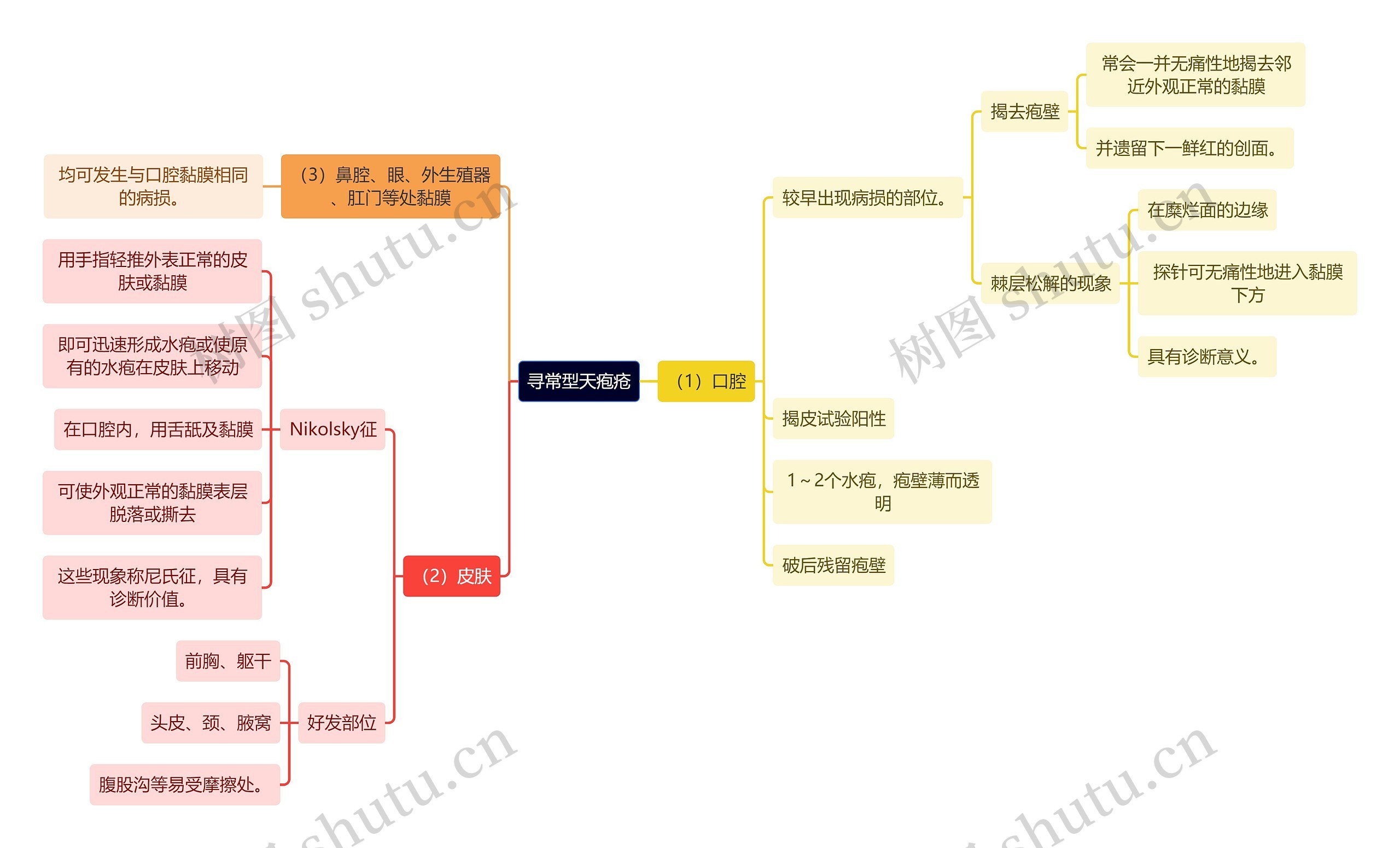 医学知识寻常型天疱疮思维导图