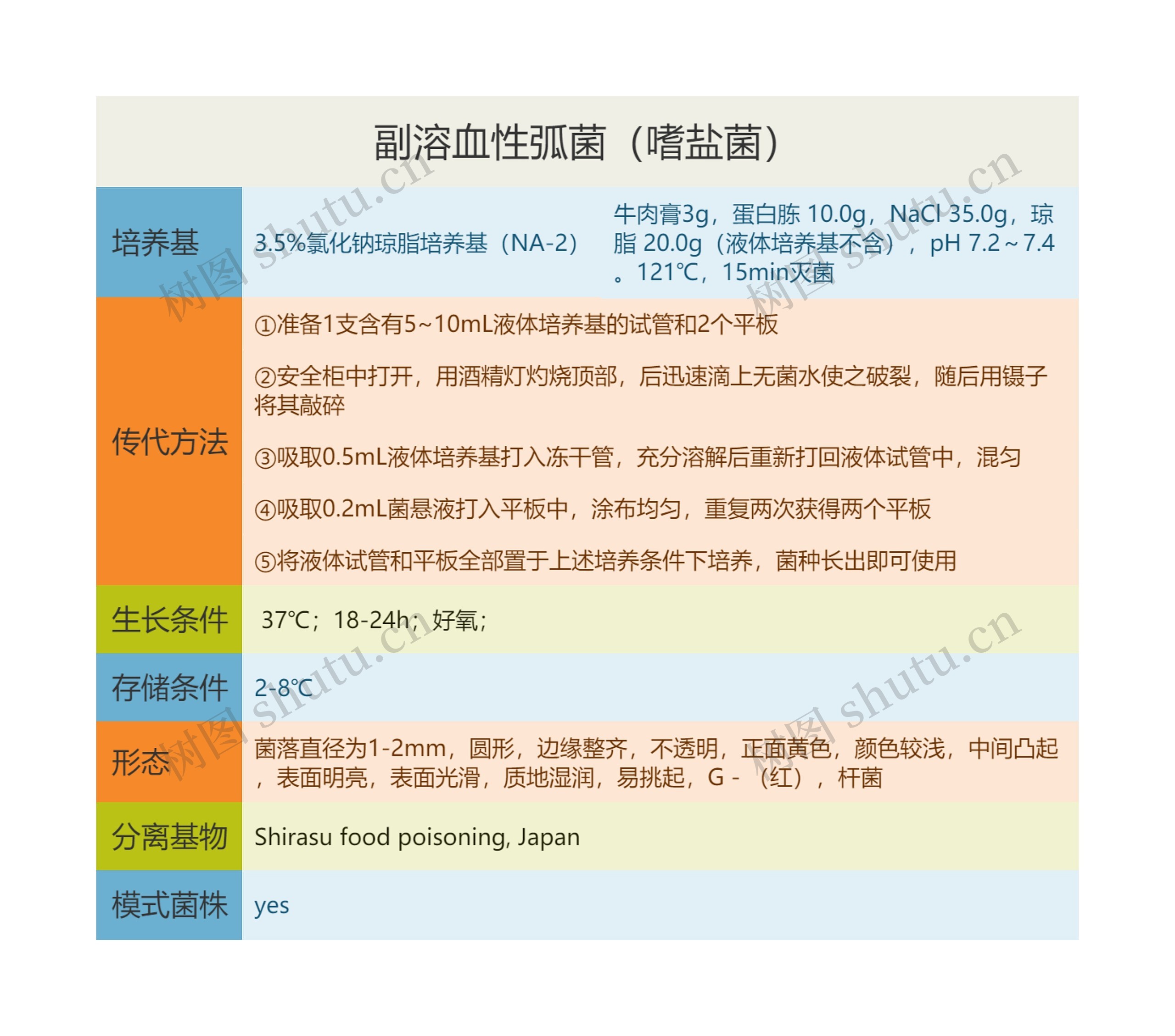 副溶血性弧菌（嗜盐菌）思维导图