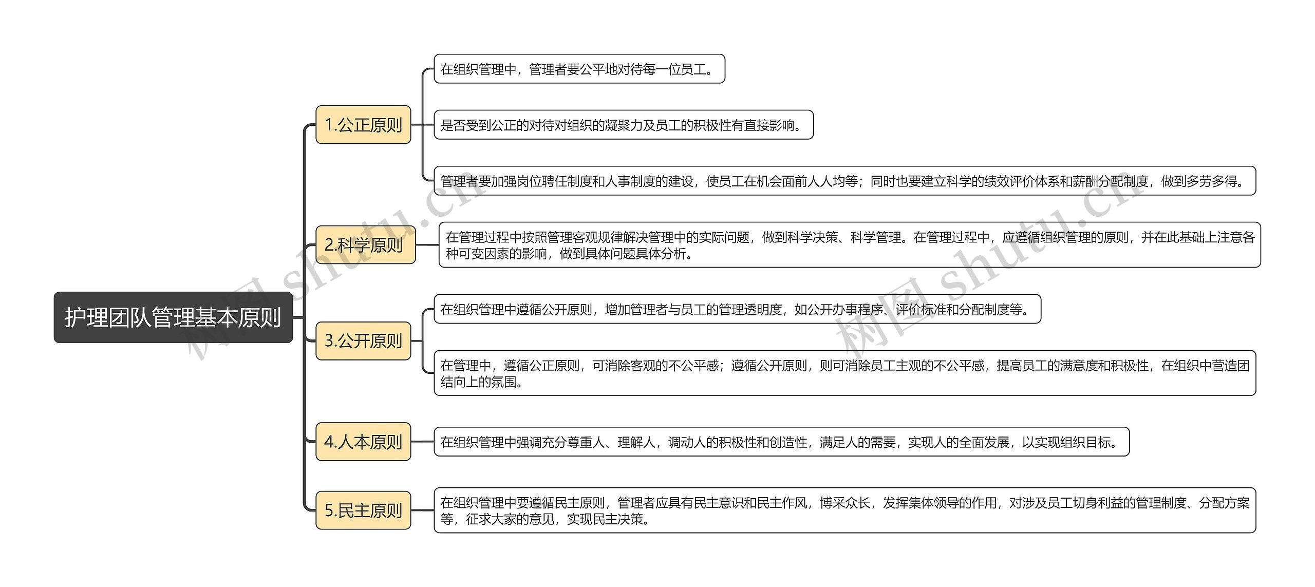 护理团队管理基本原则